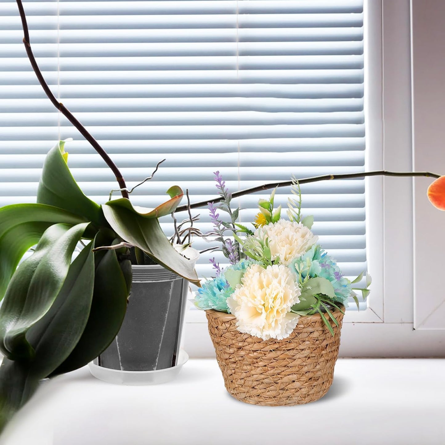 Hand-Woven Seagrass Plant Basket Planter / Set of 2