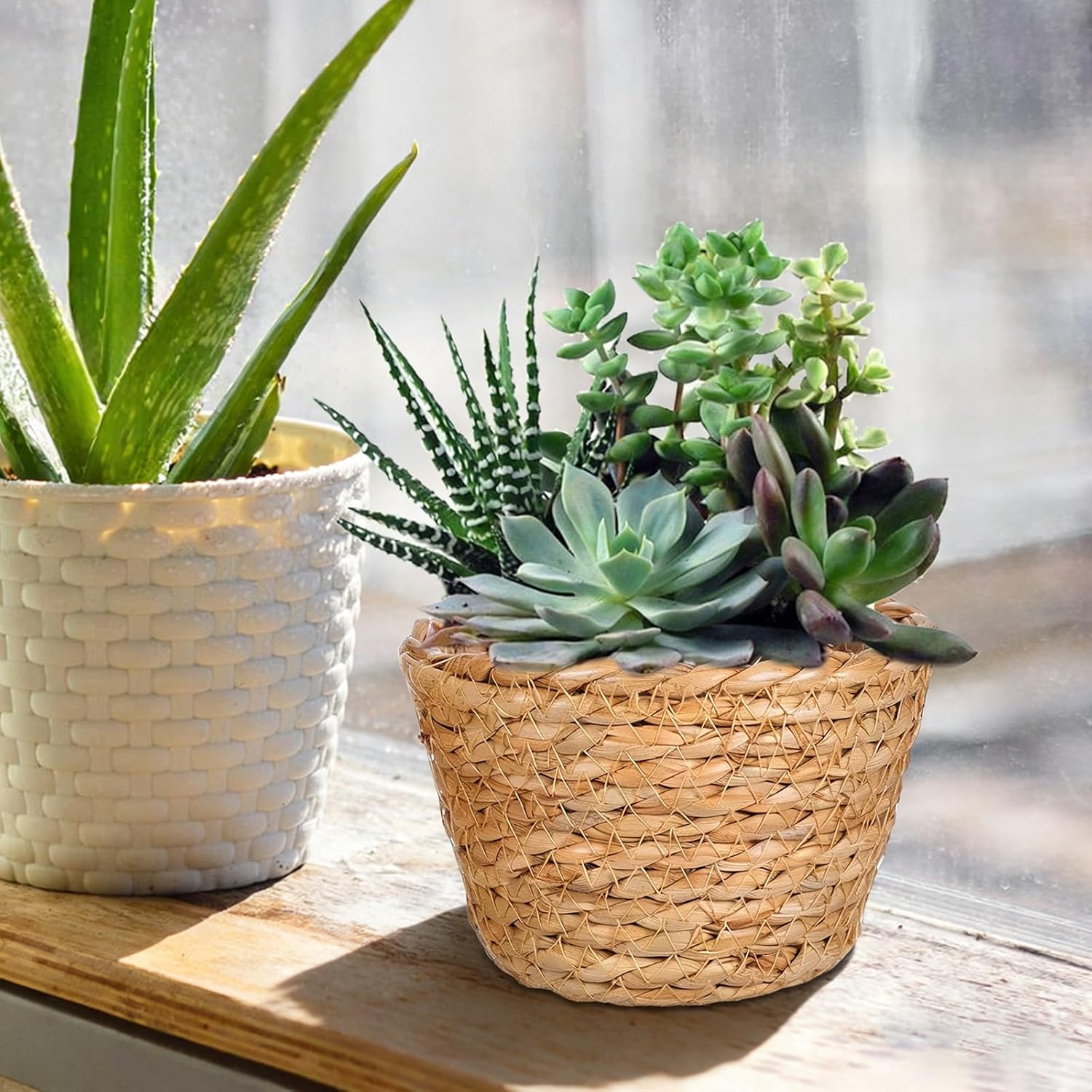 Hand-Woven Seagrass Plant Basket Planter / Set of 2