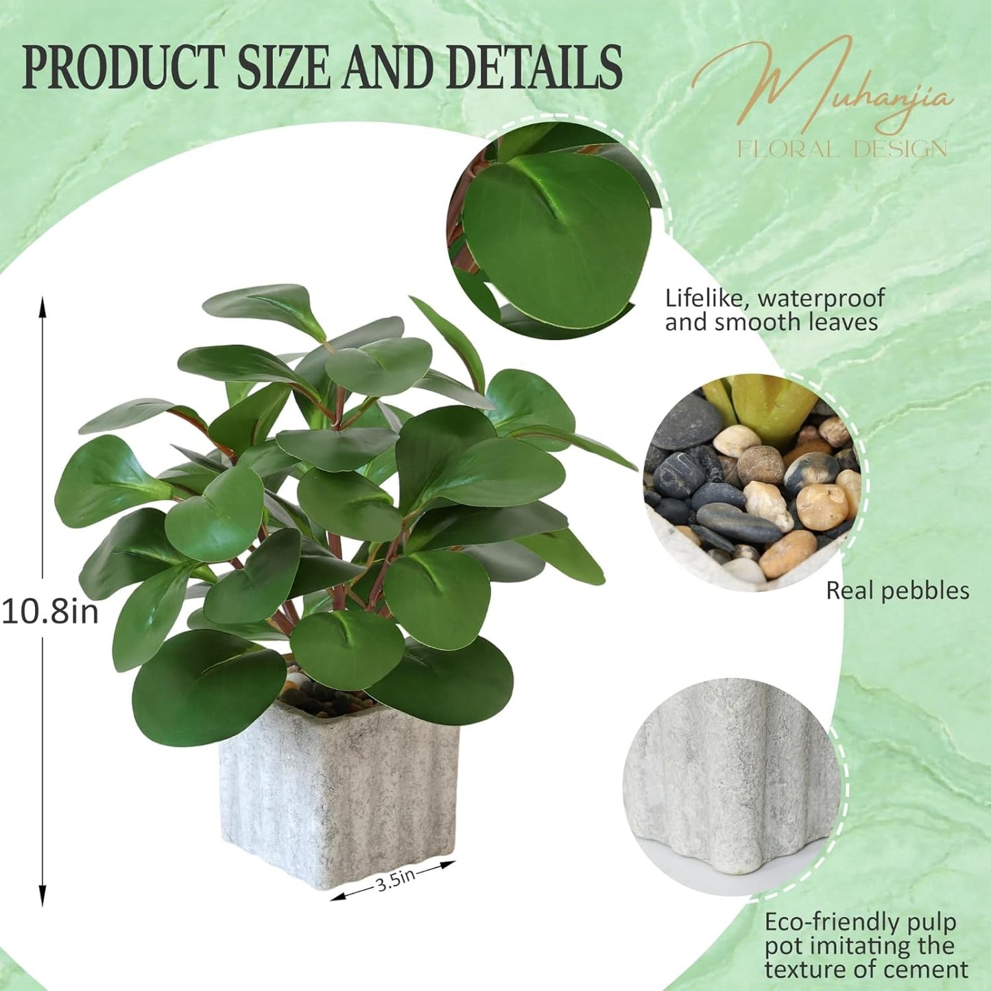 Artificial Potted Plant / Peperomia