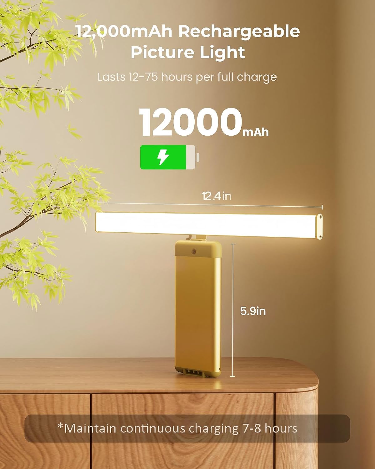 Picture Light for Wall with Remote, Picture Lights Battery Operated Rechargeable 12000mAh, 3 Colors & 3 Timers