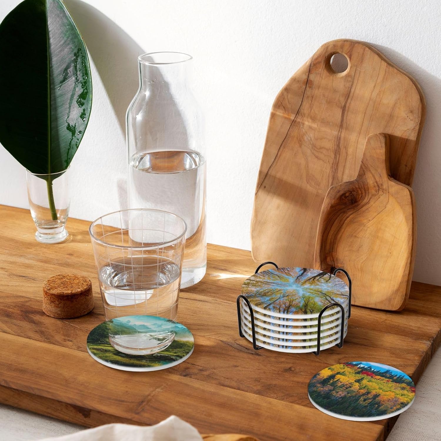 Absorbent Ceramic Coasters for Drinks / Forest Secrets / Set of 6