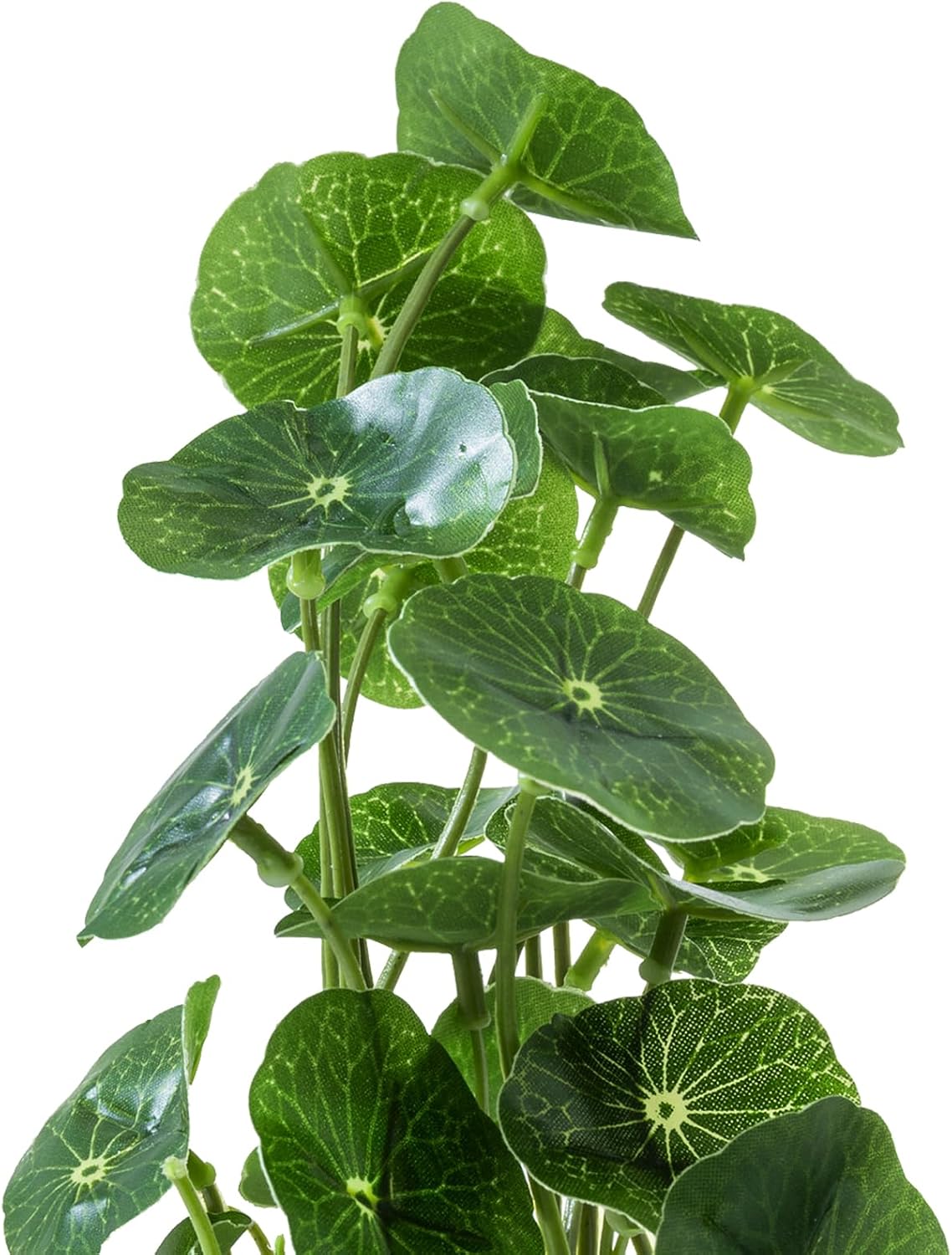 Faux Plant / Small Artificial Potted Plants Indoor in Glass Pot / Clear / 9.5 Inch / Set of 3