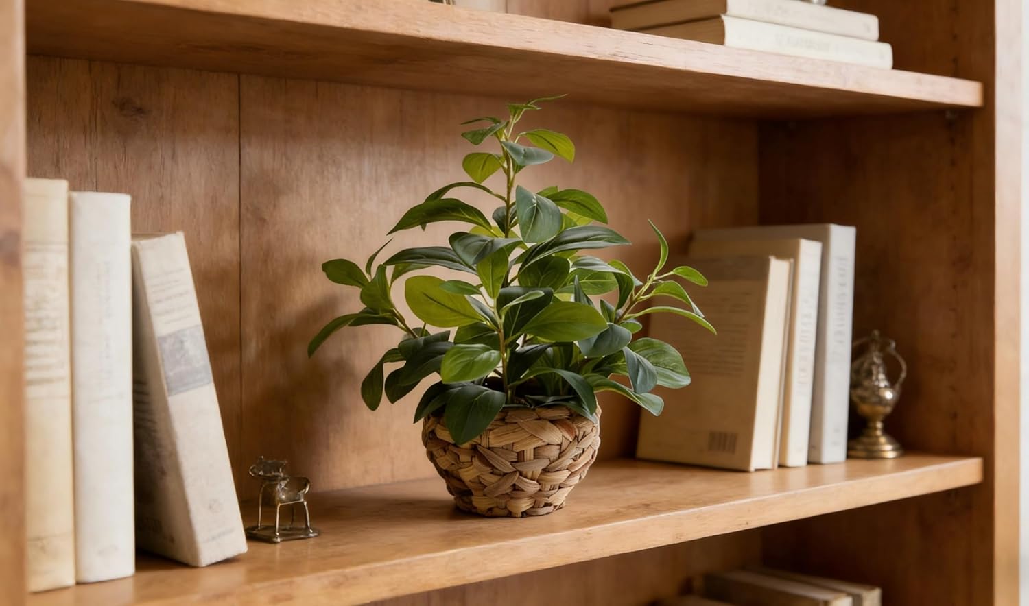 15" Artificial Broad Leaf Potted Plant in Handwoven Seagrass Basket Planter Small Tabletop / Ficus-1