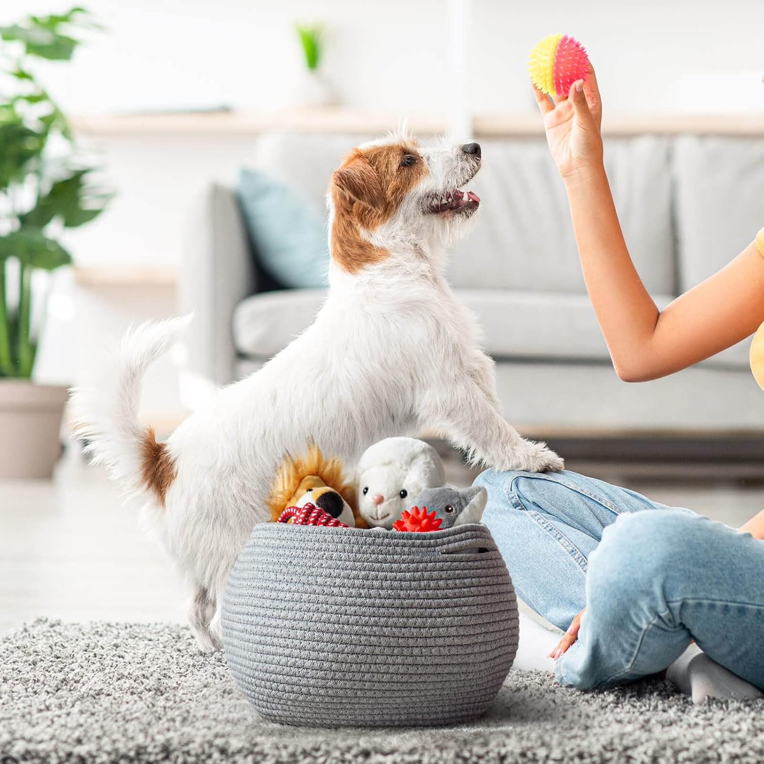 Round Cotton Rope Basket Woven Towel Baskets Bathroom Small Dog Toy&Cat Toy / Gray / 10"D x 8.3"H