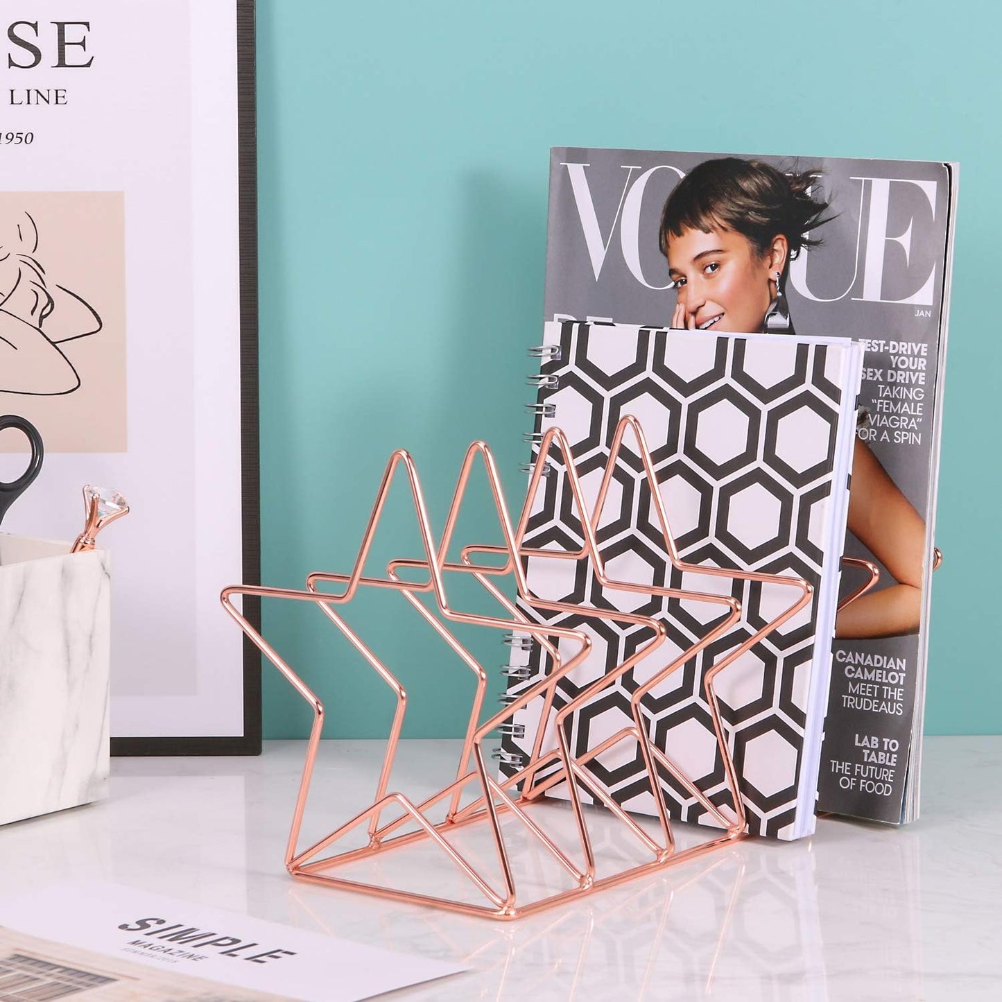 Magazine Holder File Sorter, Metal 5 Slot Desk Organizer Rack for Document, Folder, Letter and Book, Rose Gold