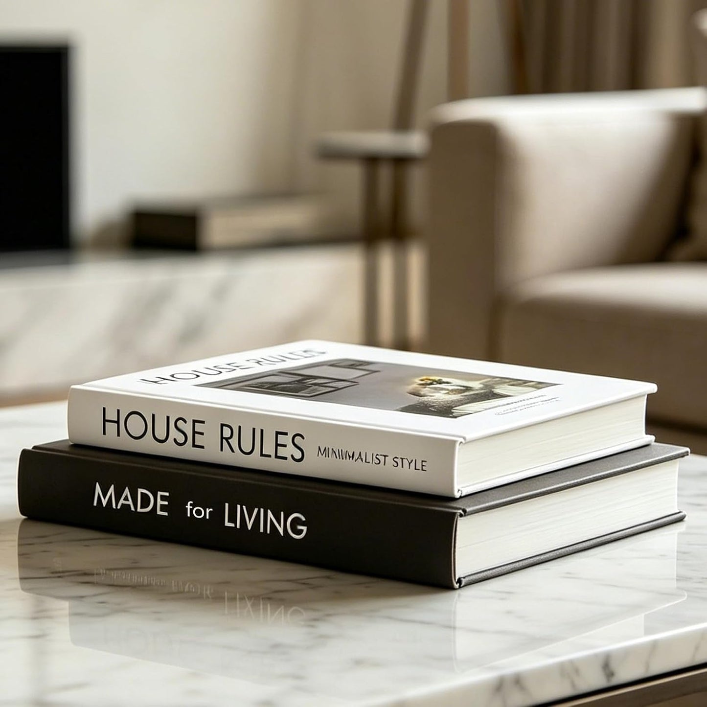 Minimalist Fake/Faux Books / Black-white / Set of 2