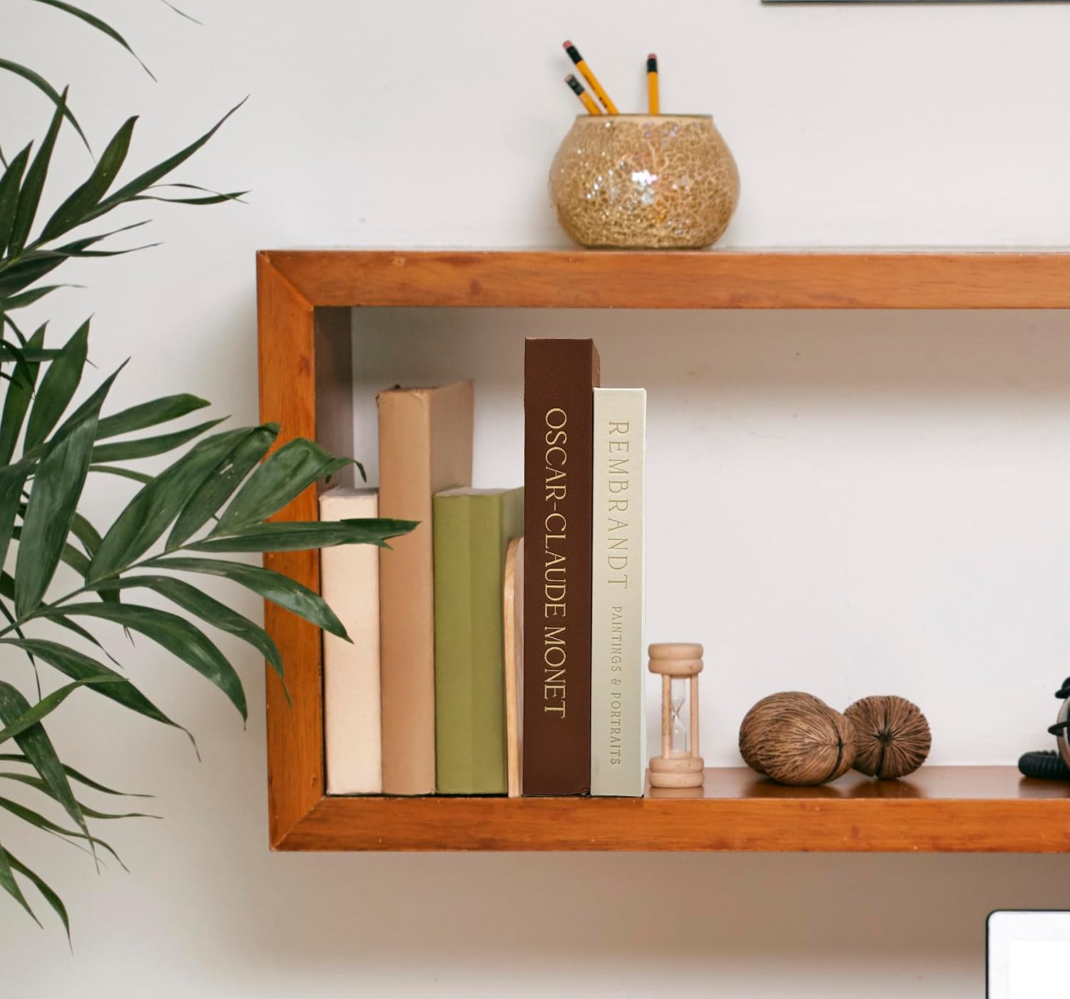 Decorative Books / Brown-beige