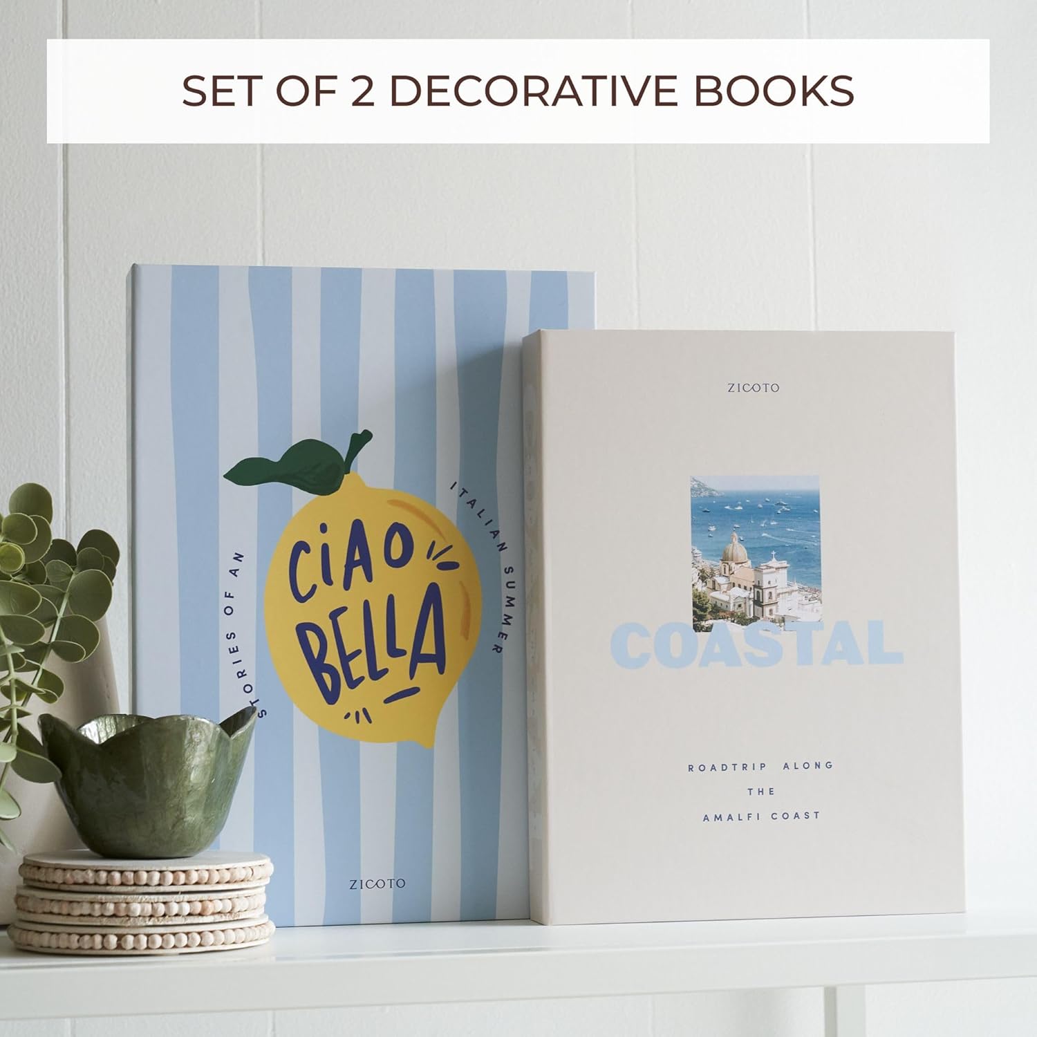 Decorative Books / Coastal Blue & Cream / Set of 2