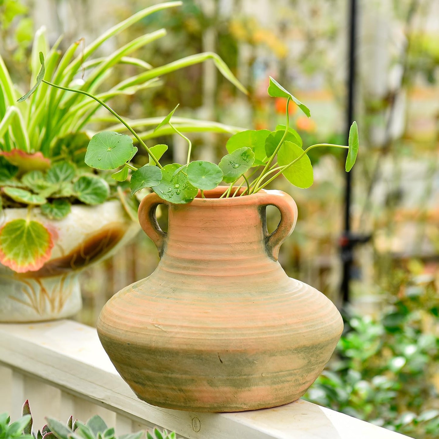 Rustic Ceramic Flower Vase / Style 1 - 7 Inch Tall / 7 Inch