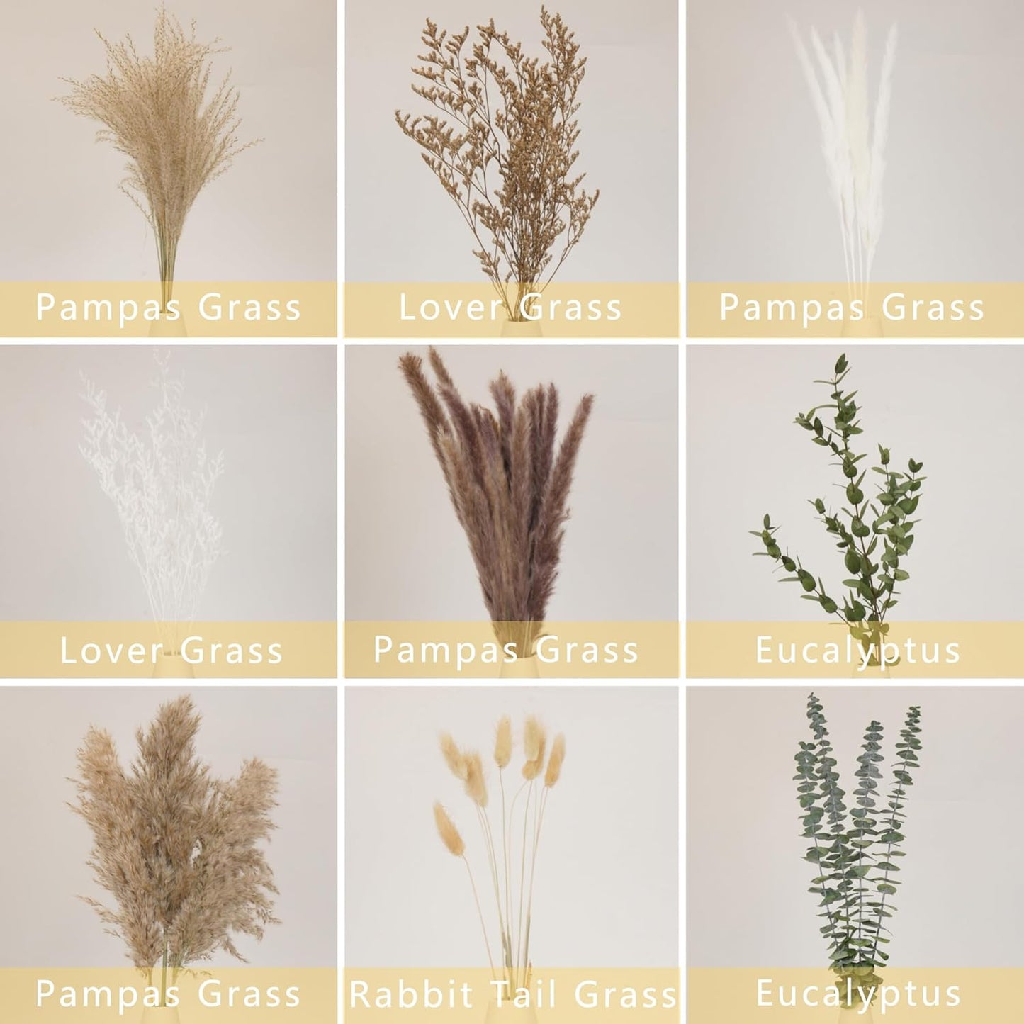 9 Varieties Mix / Natural