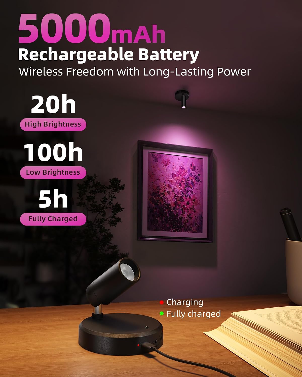EZVALO RGB Indoor Spotlights, Accent Lights, Plant Uplights | 5000mAh Rechargeable, Color Changing, DIY Mode, Wireless