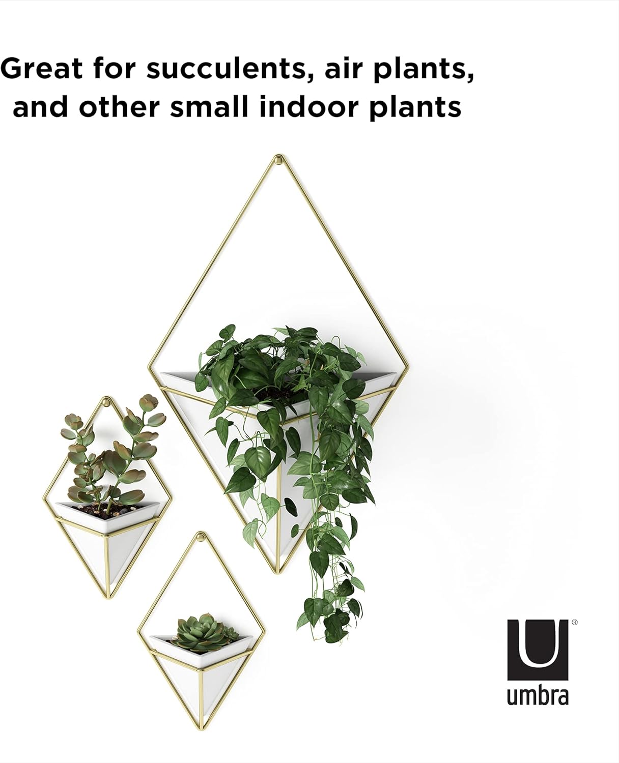 Faux Plants / Pots Containers for Succulents / White/brass / Small / Set of 2