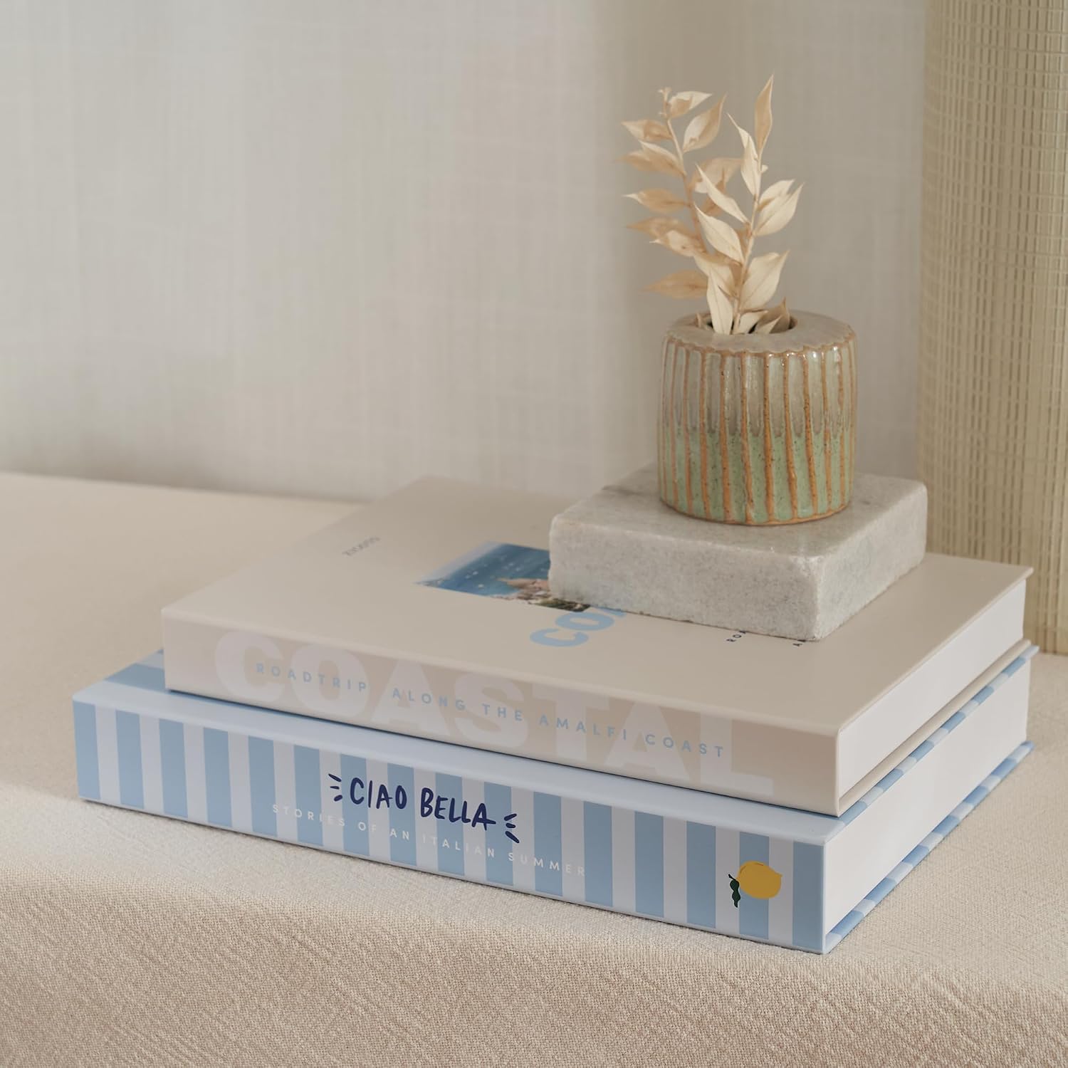Decorative Books / Coastal Blue & Cream / Set of 2