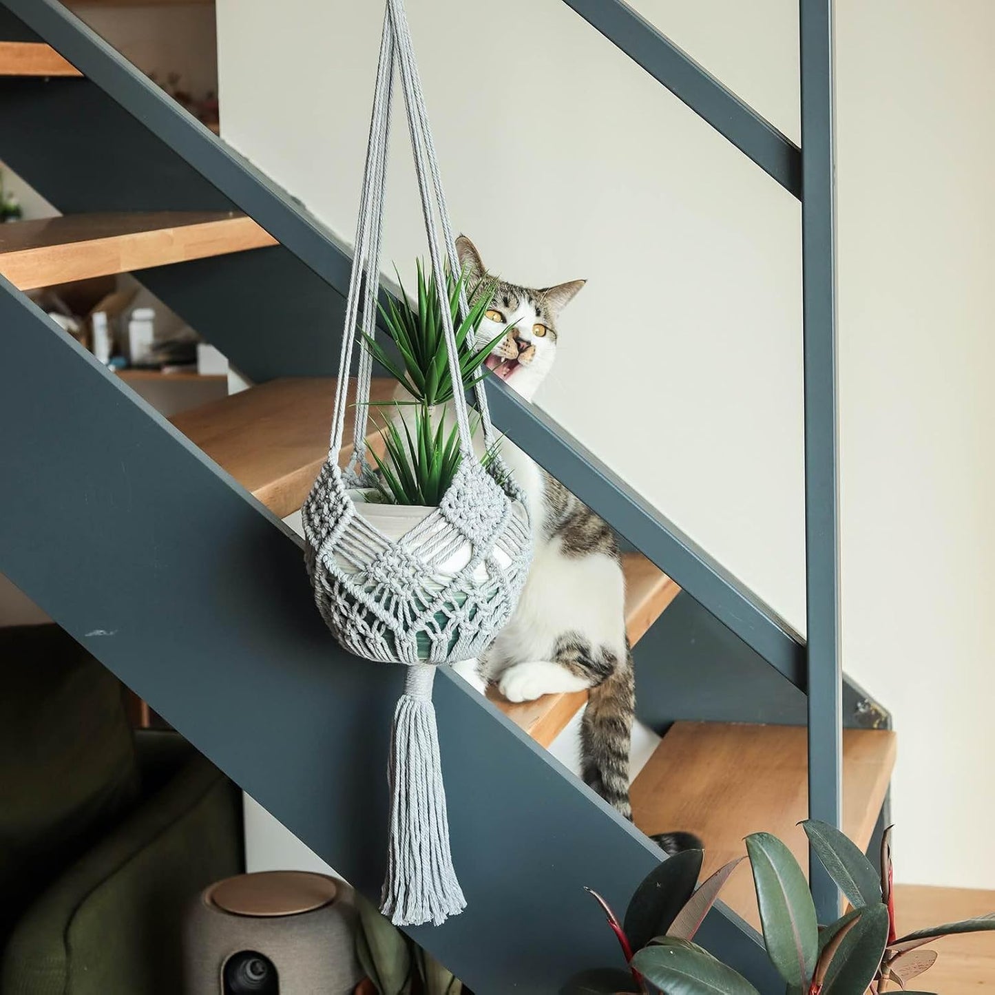 Boho Hanging Planters / Gray Hanger / 10 Inch / Set of 8