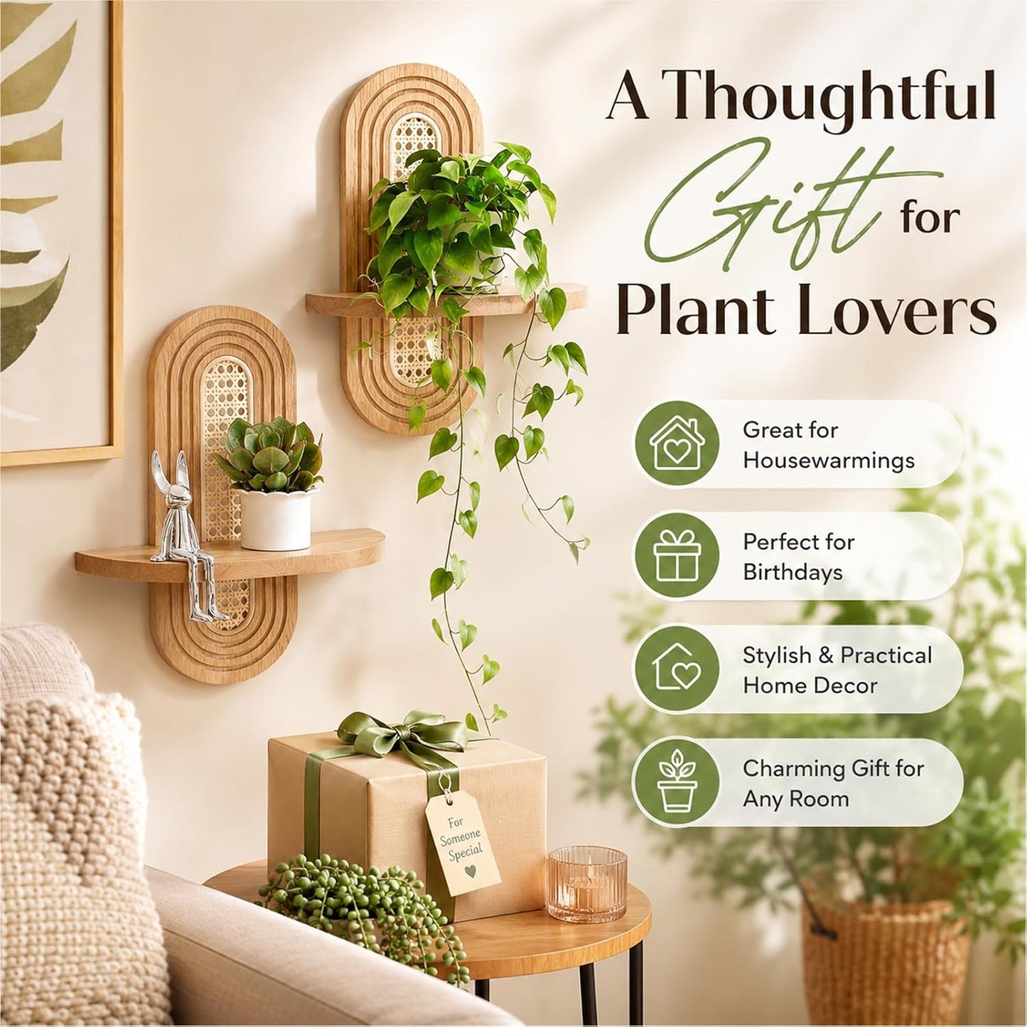 Boho rattan floating shelf displays plants / Wood Color