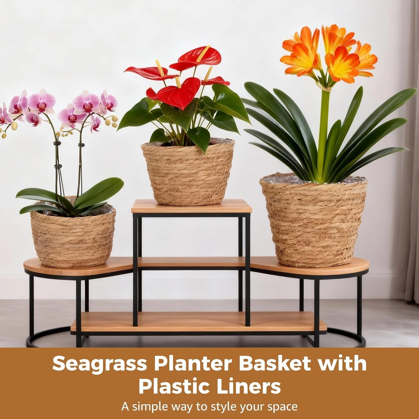 Wicker Hand Woven Plant Baskets / Set of 6