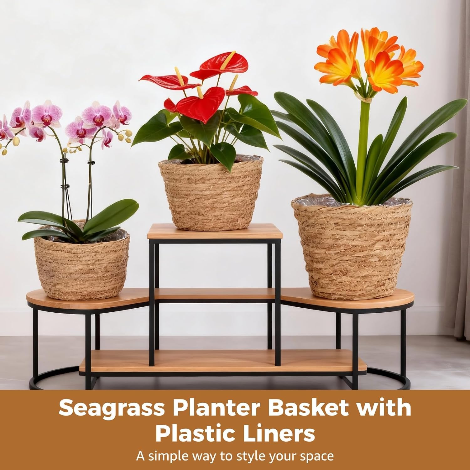 Wicker Hand Woven Plant Baskets / Set of 6