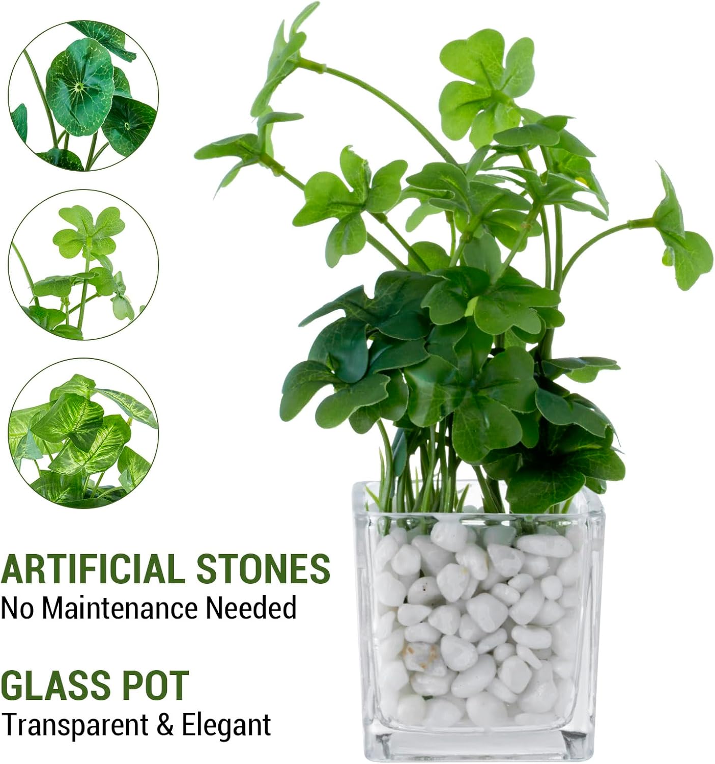 Artificial Clover and Taro Plants in Glass Vase / Clear / Set of 3
