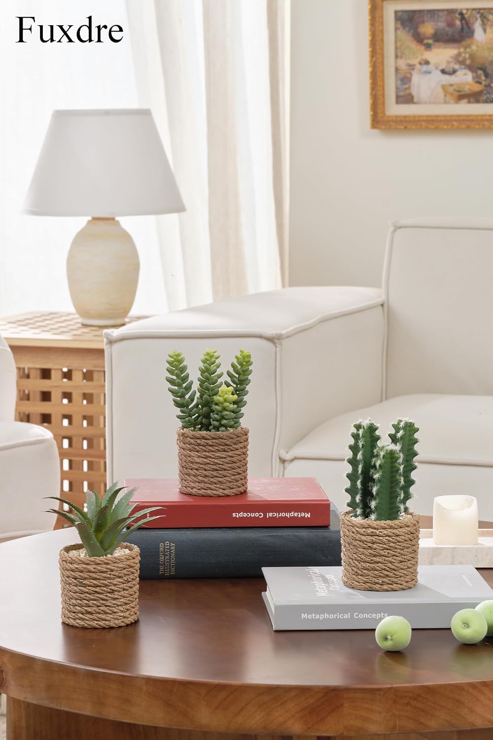 Artificial Succulent Plants in Vintage Plastic Pots / Succulent-d / Set of 3
