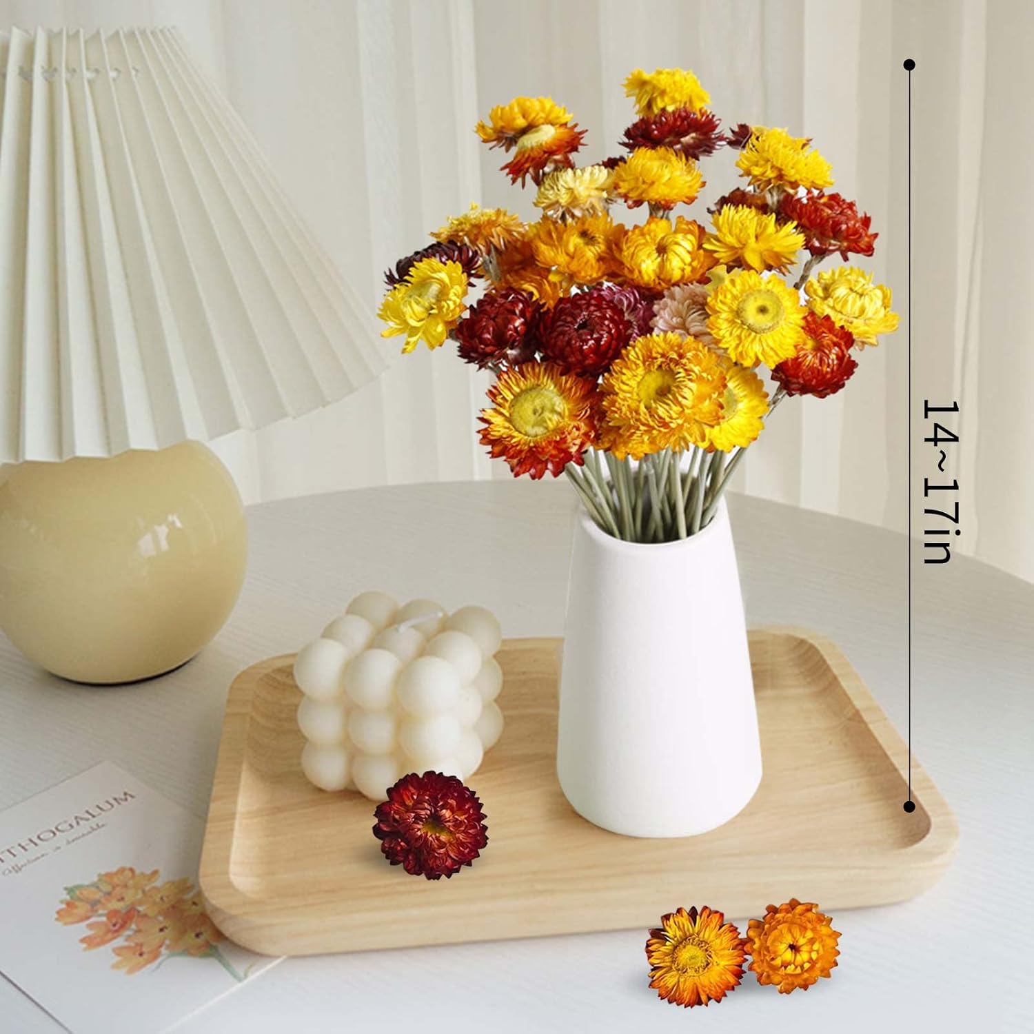 Dry Flower Arrangements / Multi Color / Natural / Set of 20