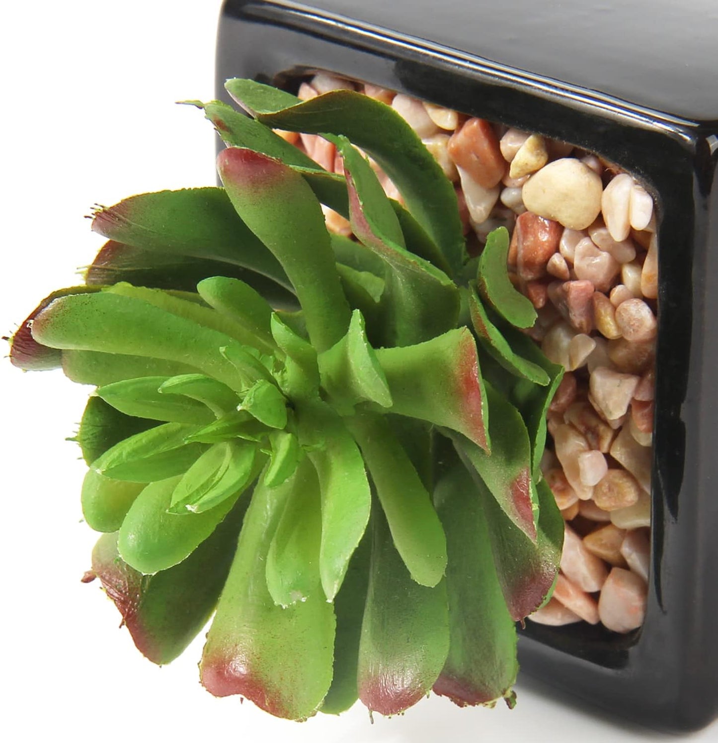 Small Succulents Artificial Faux Succulents in Pots Fake Succulent Plants / Black Ceramic / Set of 3