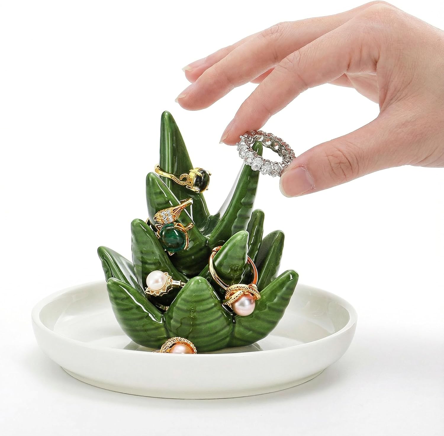 Ceramic Ring Holder Dish / Aloe & Cactus / Set of 2