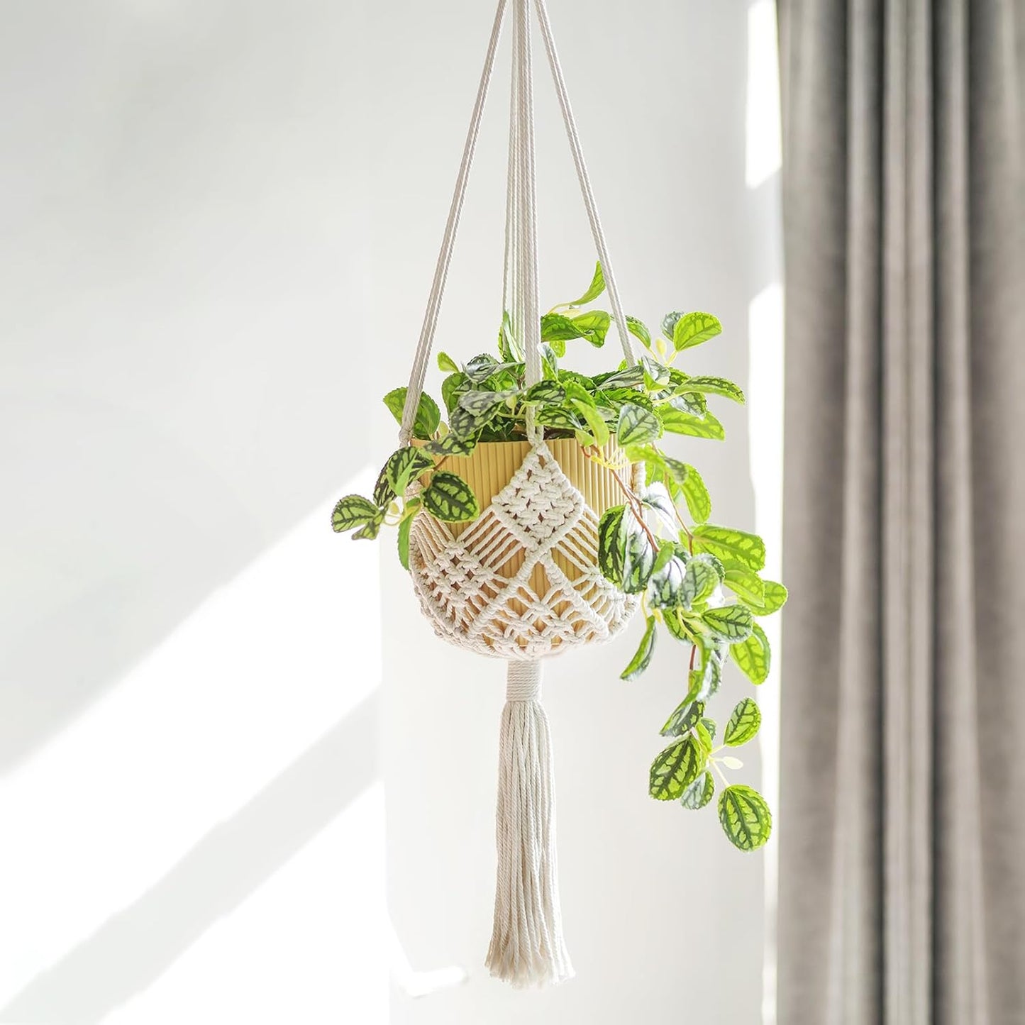 Boho Hanging Planters / White Hanger / 10 Inch / Set of 8