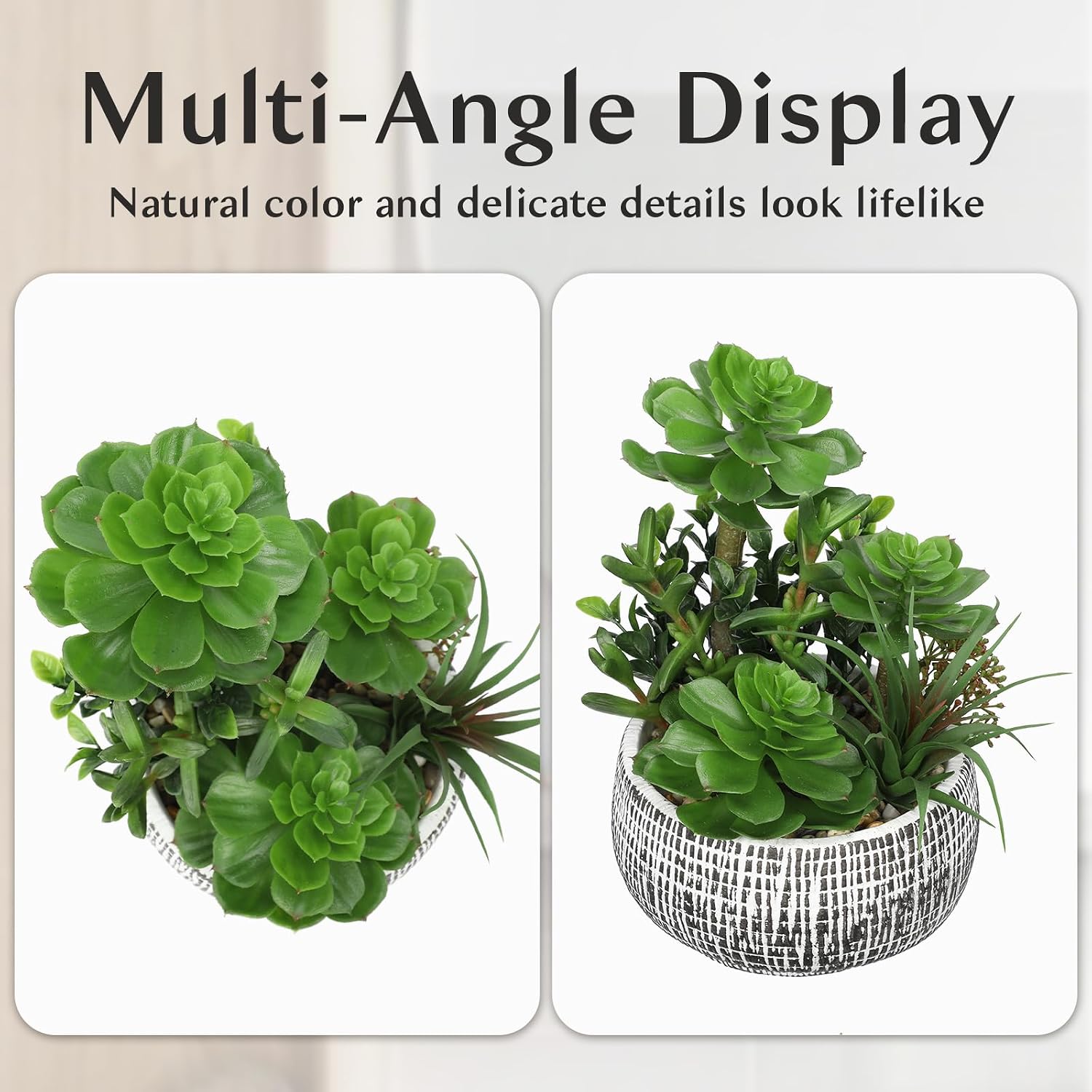 10" Large Succulents Plants Artificial in Ceramic Pots Potted Faux / Ceramic #style 2 / Black