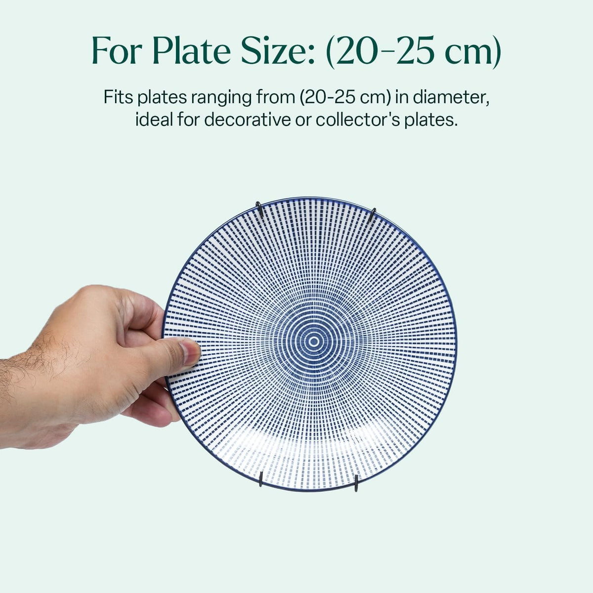 WINSOME Invisible Plate Hangers for Wall | Decorative Dish Display Holders Hanging Wires Spring Hook Holder Fit to Hang