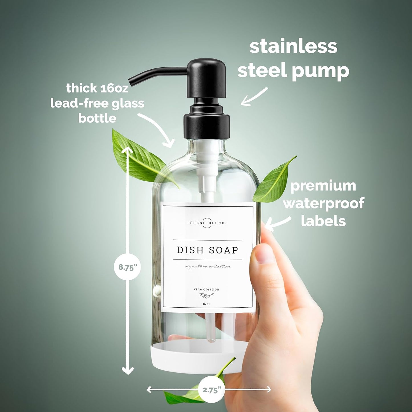 Vine Creations Clear Glass Soap Dispenser, 2 Pack Kitchen Soap Dispenser Set with Stainless Steel Pump, 16 oz Dish Soap