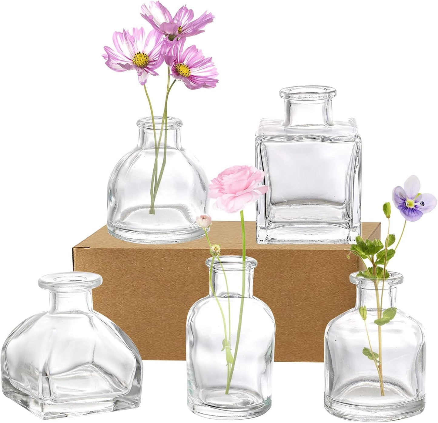 Glass Bud Vases / Clear / Set of 10