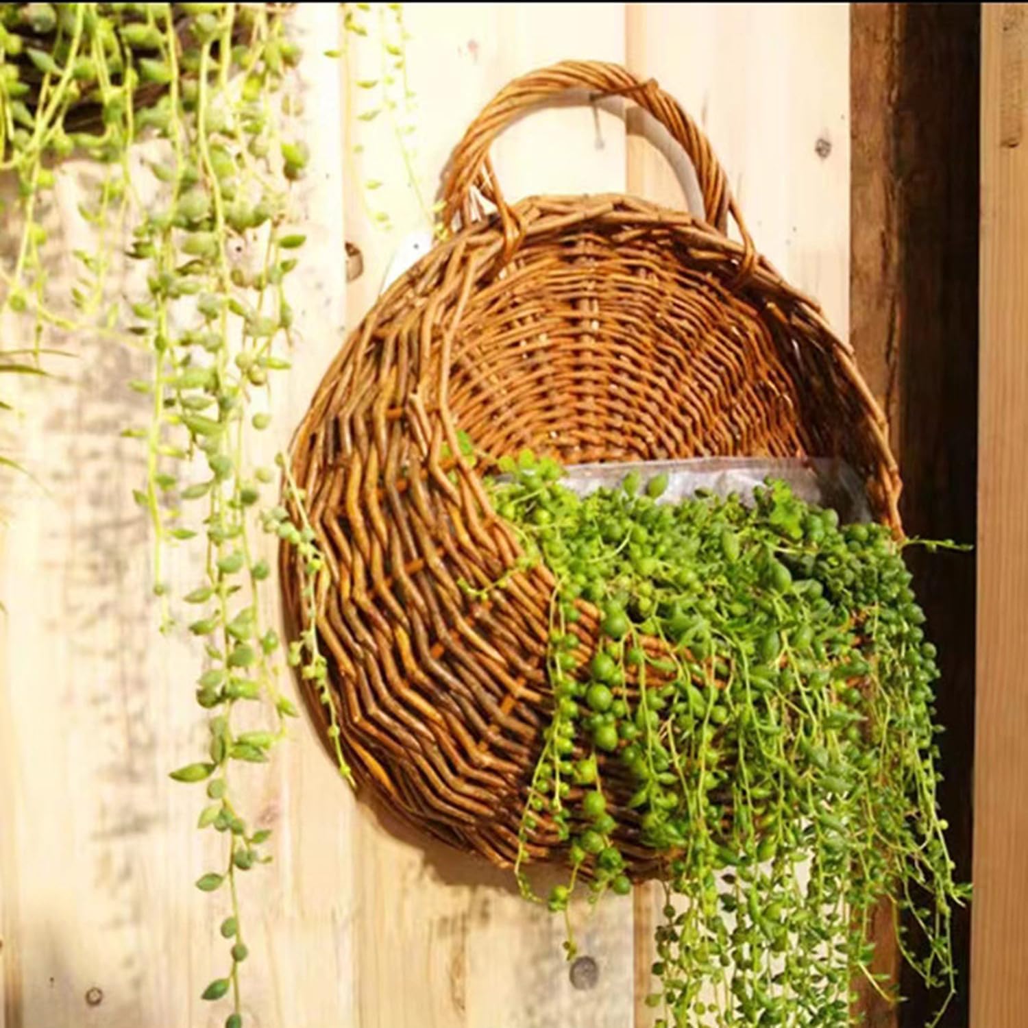 Handmade Wicker Hanging Basket for Plant Wall Mount Rattan Chlorophytum Comosum Hanging / Medium