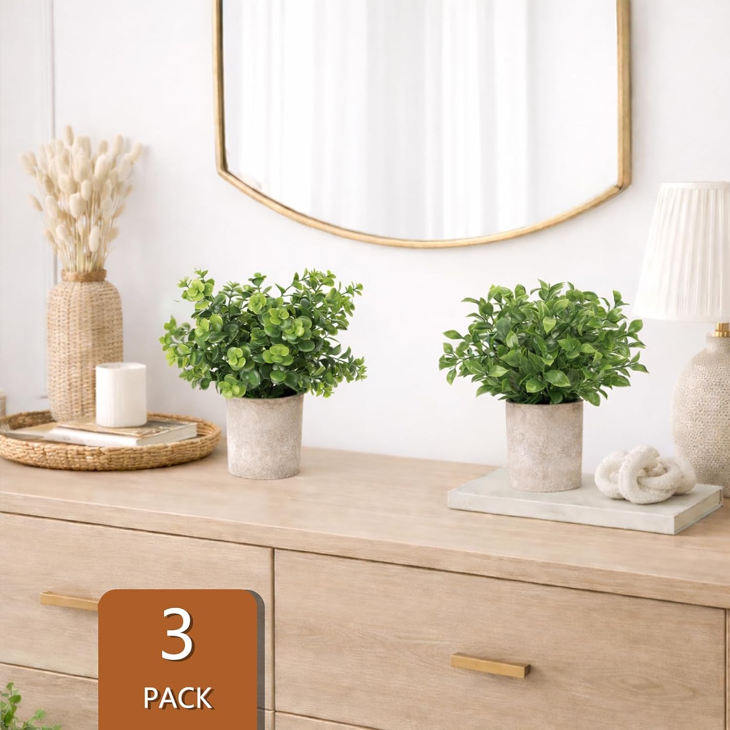 Small Plants Decor- Mini Artificial Plants / Set of 3