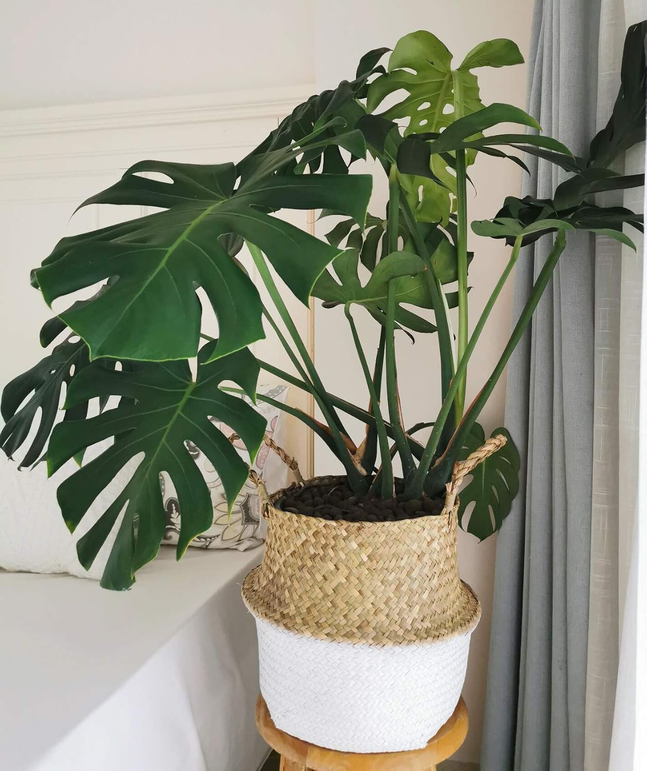 Seagrass Plant Basket / S / White