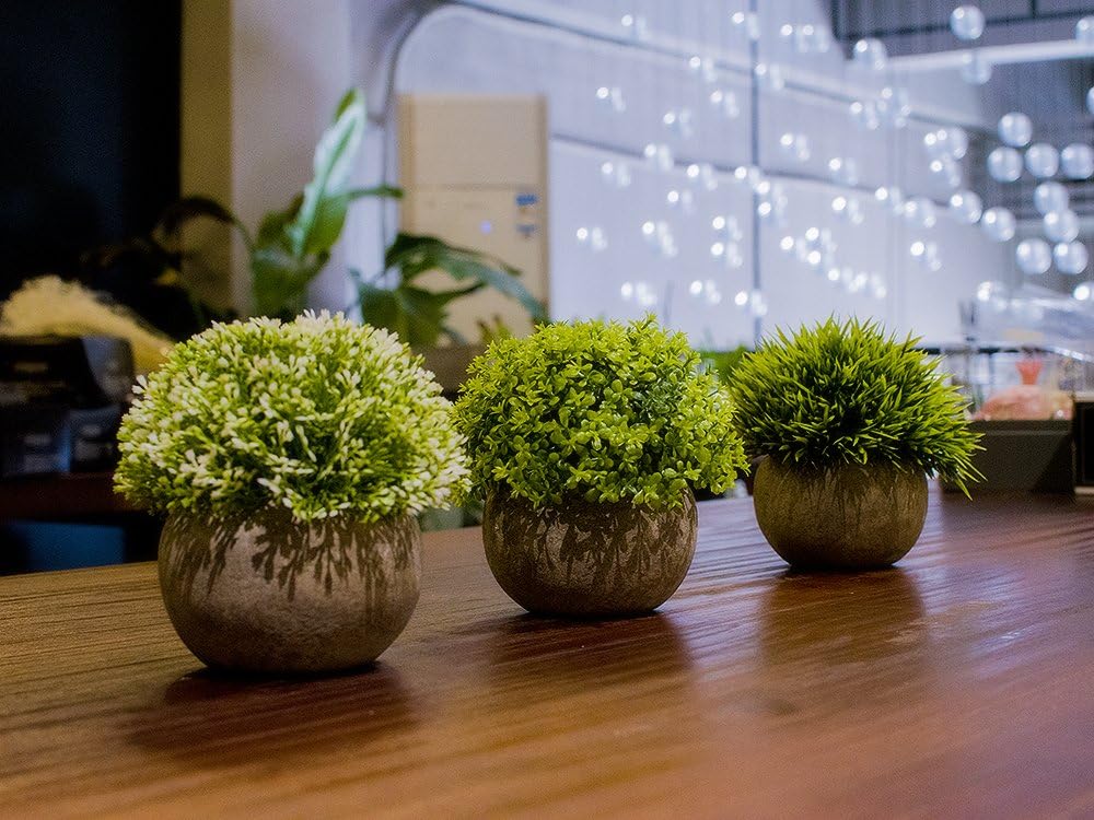 Artificial Plastic Mini Plants Unique Fake Fresh Green Grass Flower / White & Green / Set of 3