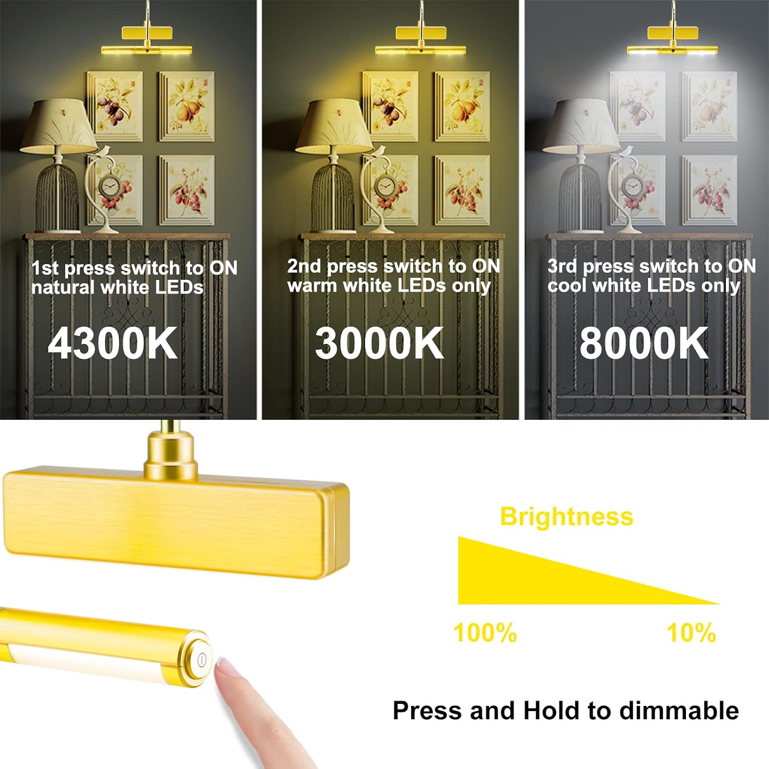 LUXSWAY Picture Light Battery Powered,Painting Light,3 Level Brightness Art Display Lights, 8.9 Inch Rotatable Lights