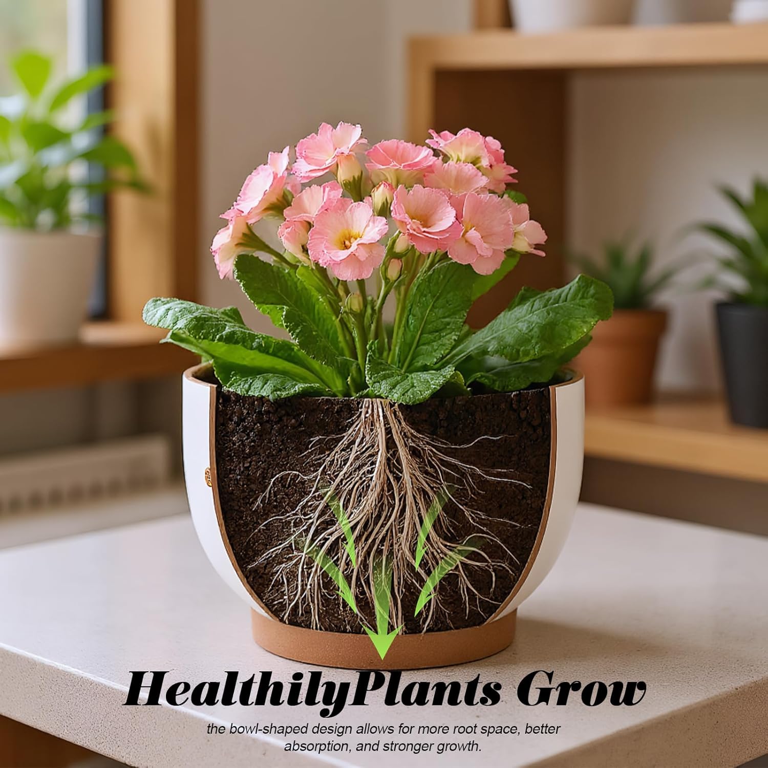 Planters / Flower Pots / 8+6 Inch / French Country / 8 Inch