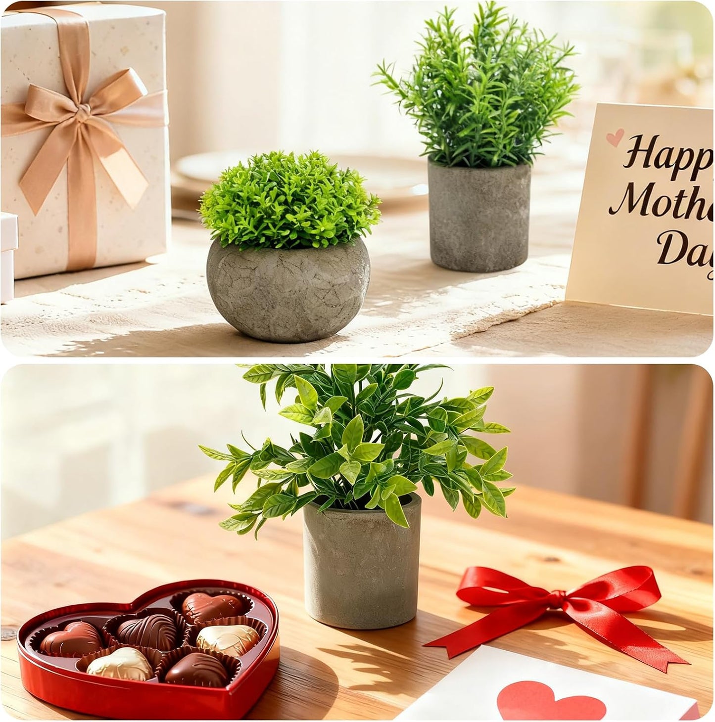 Artificial Potted Plants Faux Greenery in Cement Pots / Round Leaf & Grass Mix Set