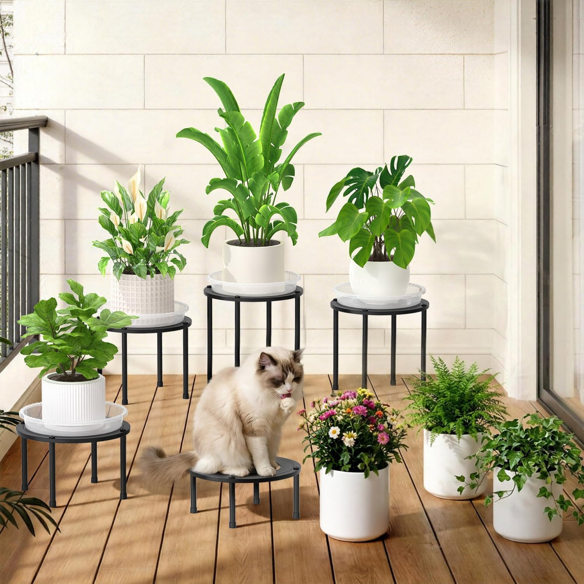 iDavosic.ly 5-Pack Metal Plant Stands with 5 Plant Saucer Tray, 10 In Black | Flower Pot Holder, Heavy Duty Iron Stool
