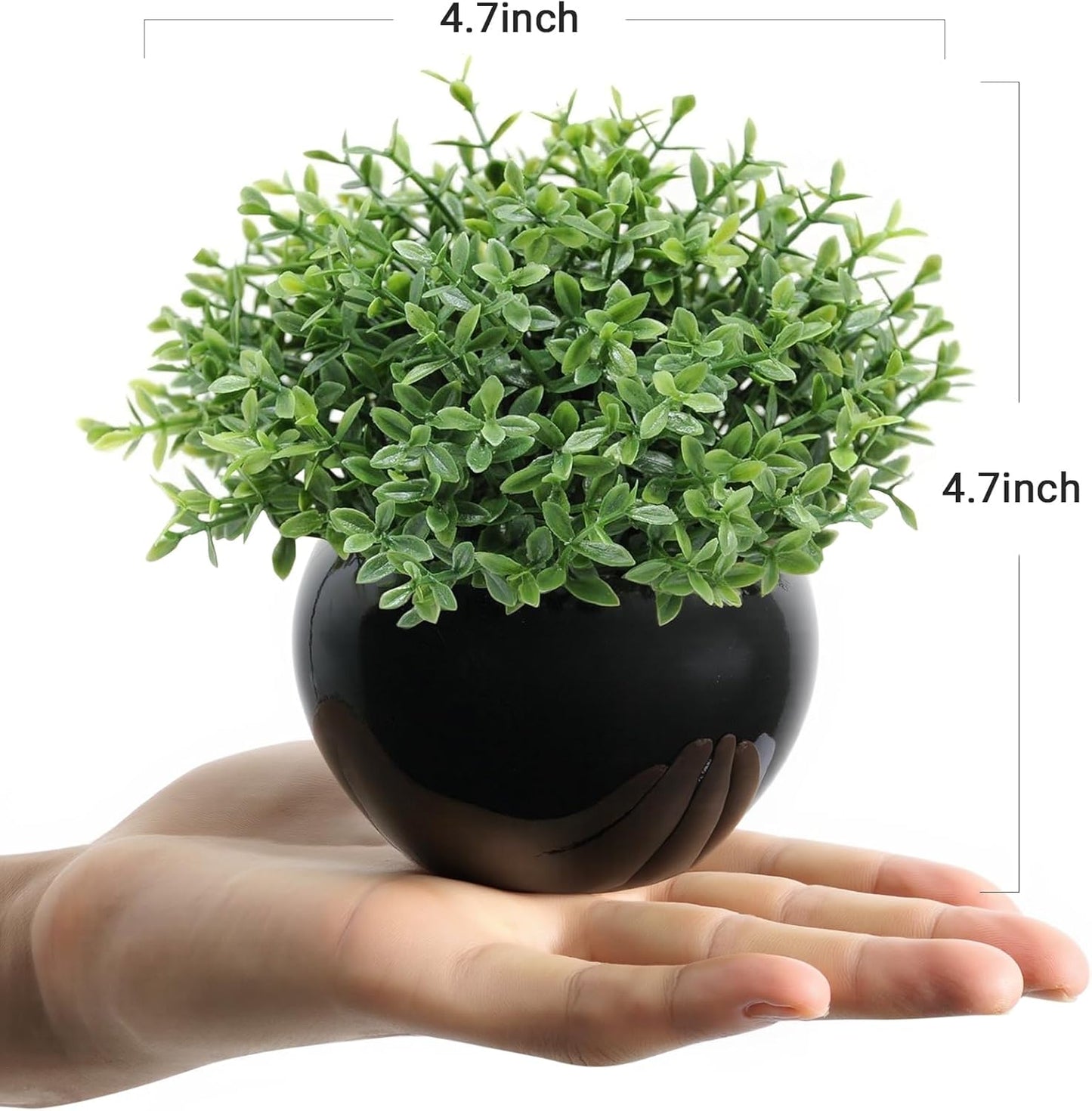 Small Artificial Succulents Grass Desk Plant / Black1