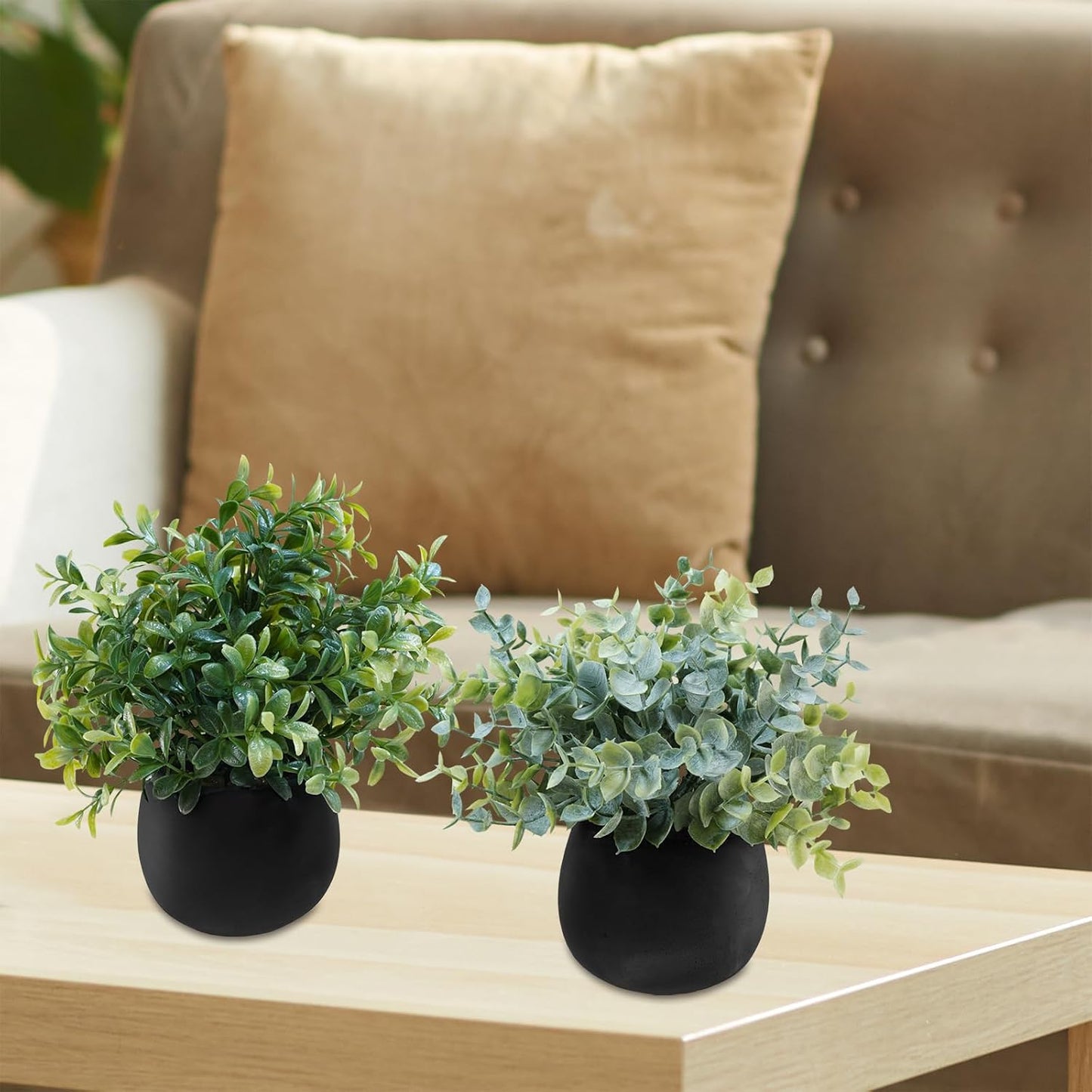 Small Potted Faux Plants 8" Artificial Eucalyptus Rosemary Boxwood Plants / Black Pots / Set of 3