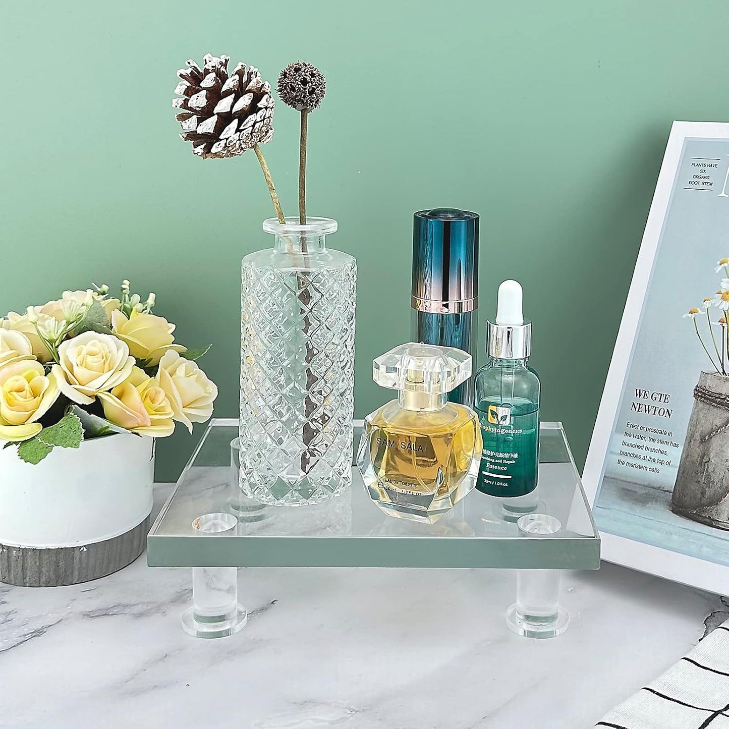 Acrylic Pedestal Tray Stand Riser / Clear