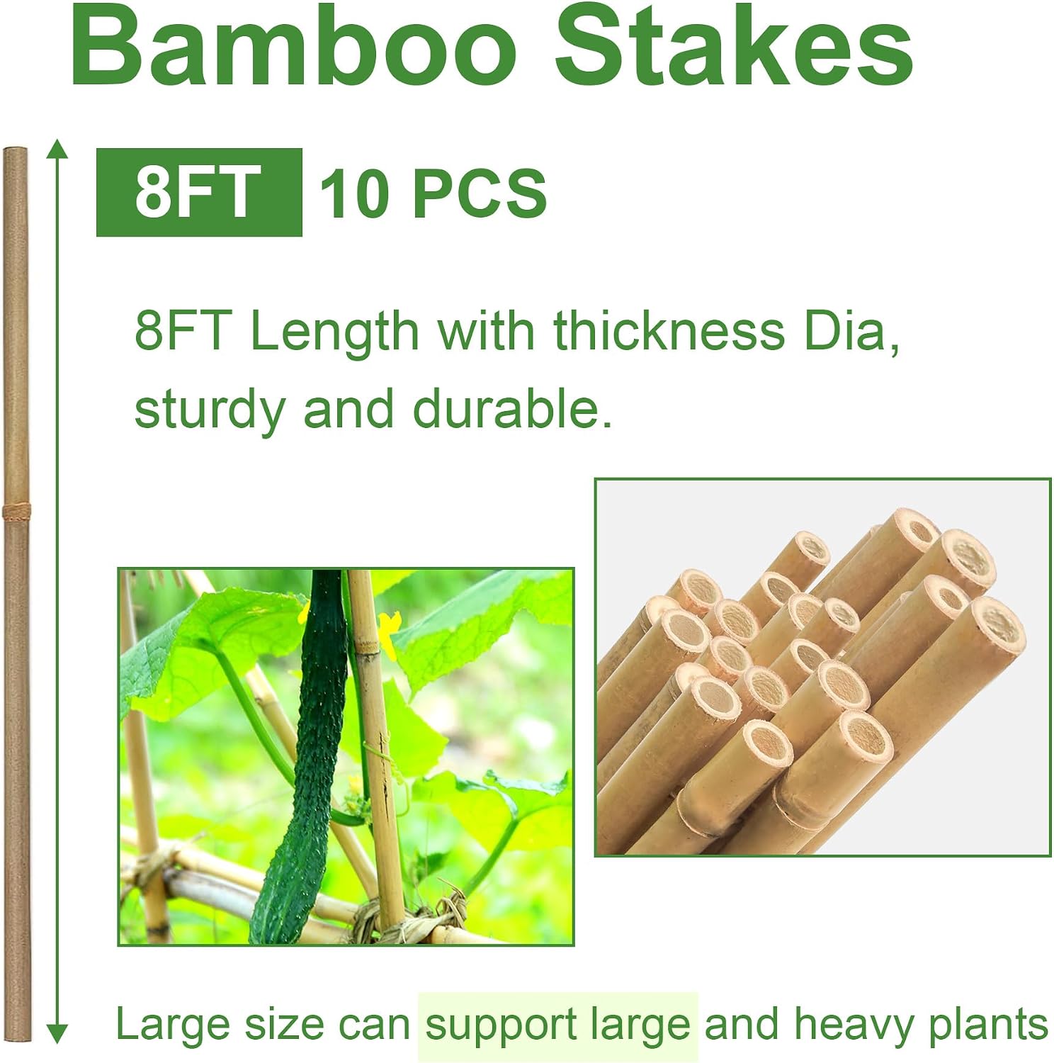 Bamboo Stakes 8FT, 8 Feet Natural Bamboo Plants Stakes, 1" D Thicker Heavy Duty Garden Stakes 10 Pack for Tomatoes