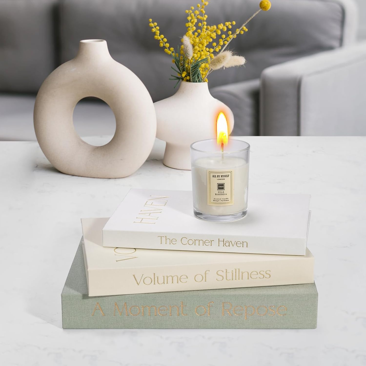 Fake/Faux Books for Photo Storage