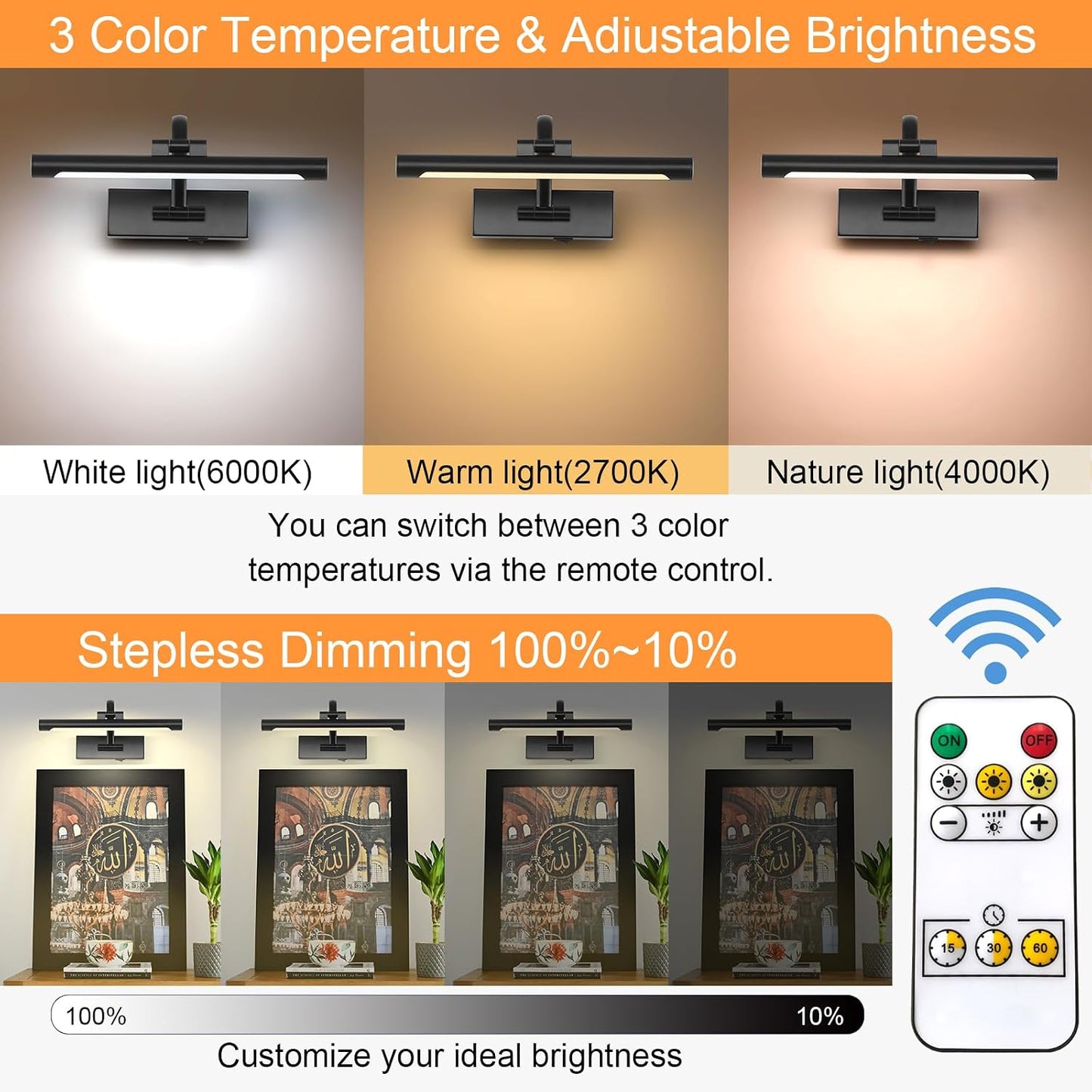 Tassuowell Battery Powered Picture Light with Remote and Timer,Full Metal Art Light with Swing Arm,12 Inch