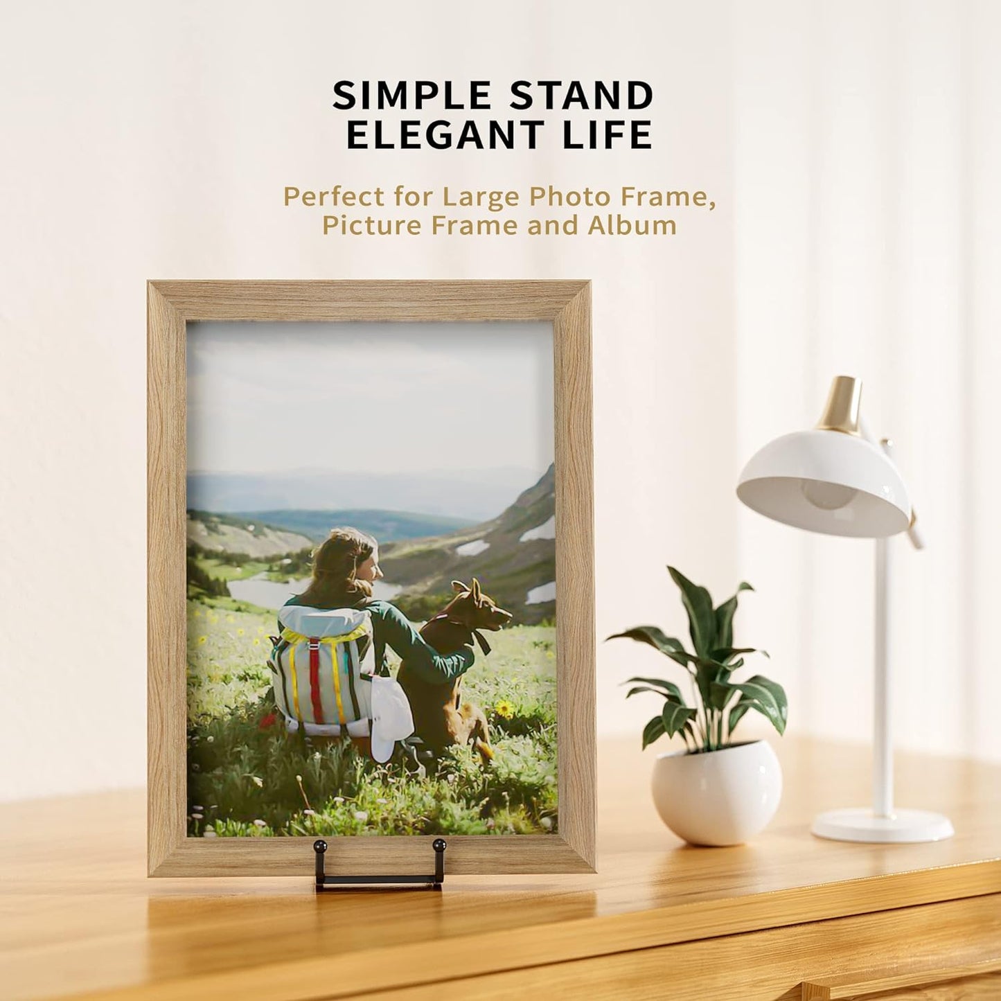 Metal Square Wire Plate Holder Display Stand + Picture Stand / 8 Inch / Set of 4