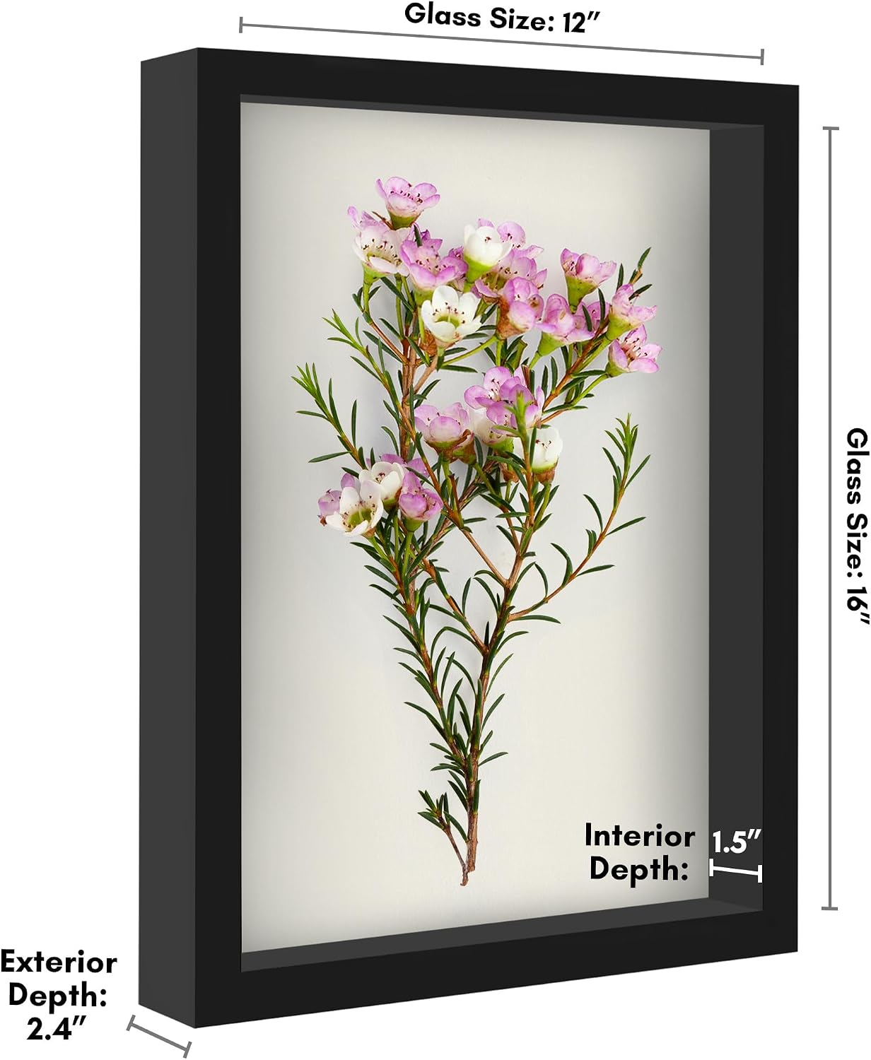 Americanflat 12x16 Shadow Box Frame - Engineered Wood - Black | Polished plexiglass front, 1.5 inch interior depth