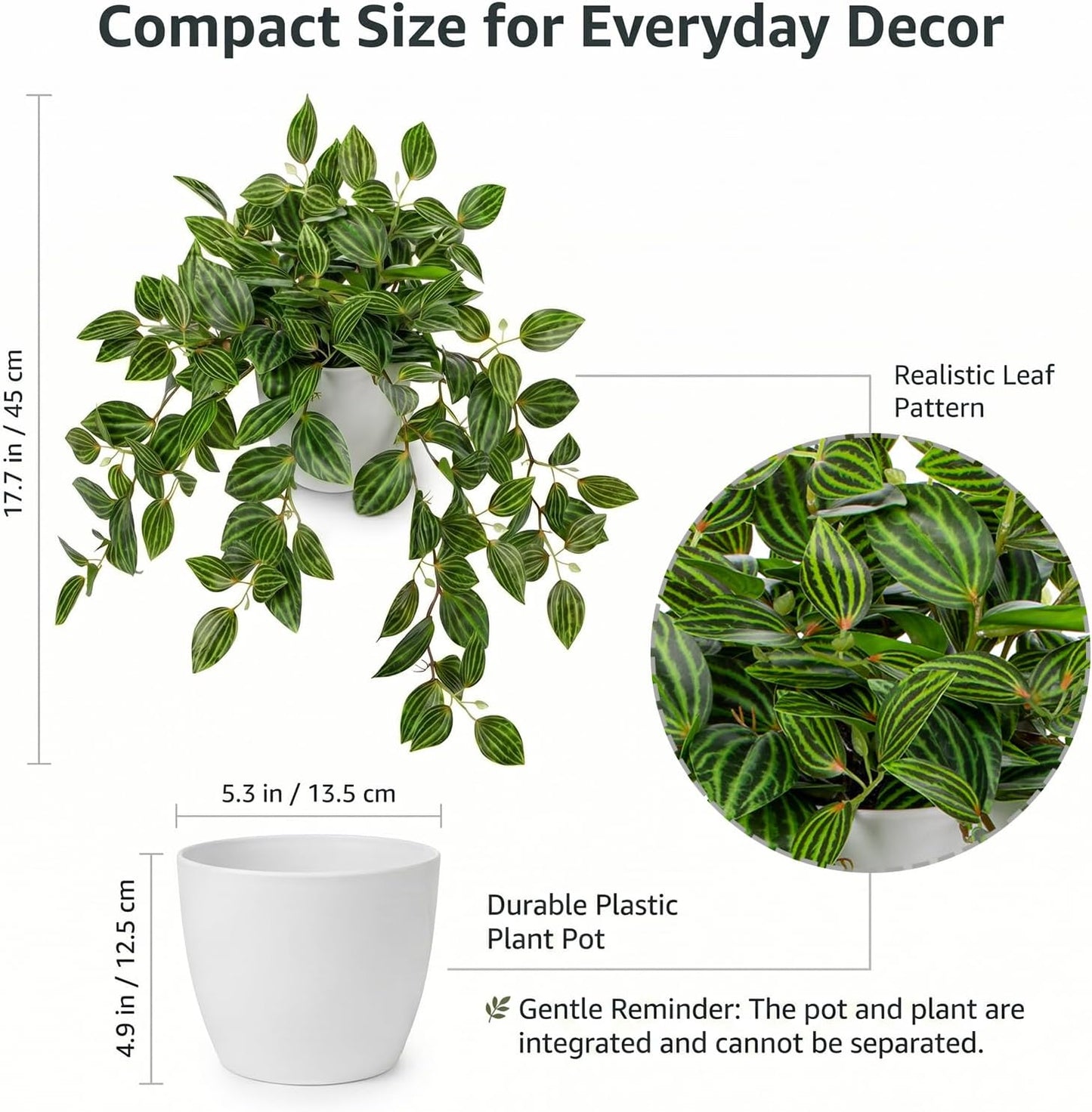 Artificial Plants Indoor Fake Potted Silk Plants Faux Watermelon Peperomia / Watermelon Green