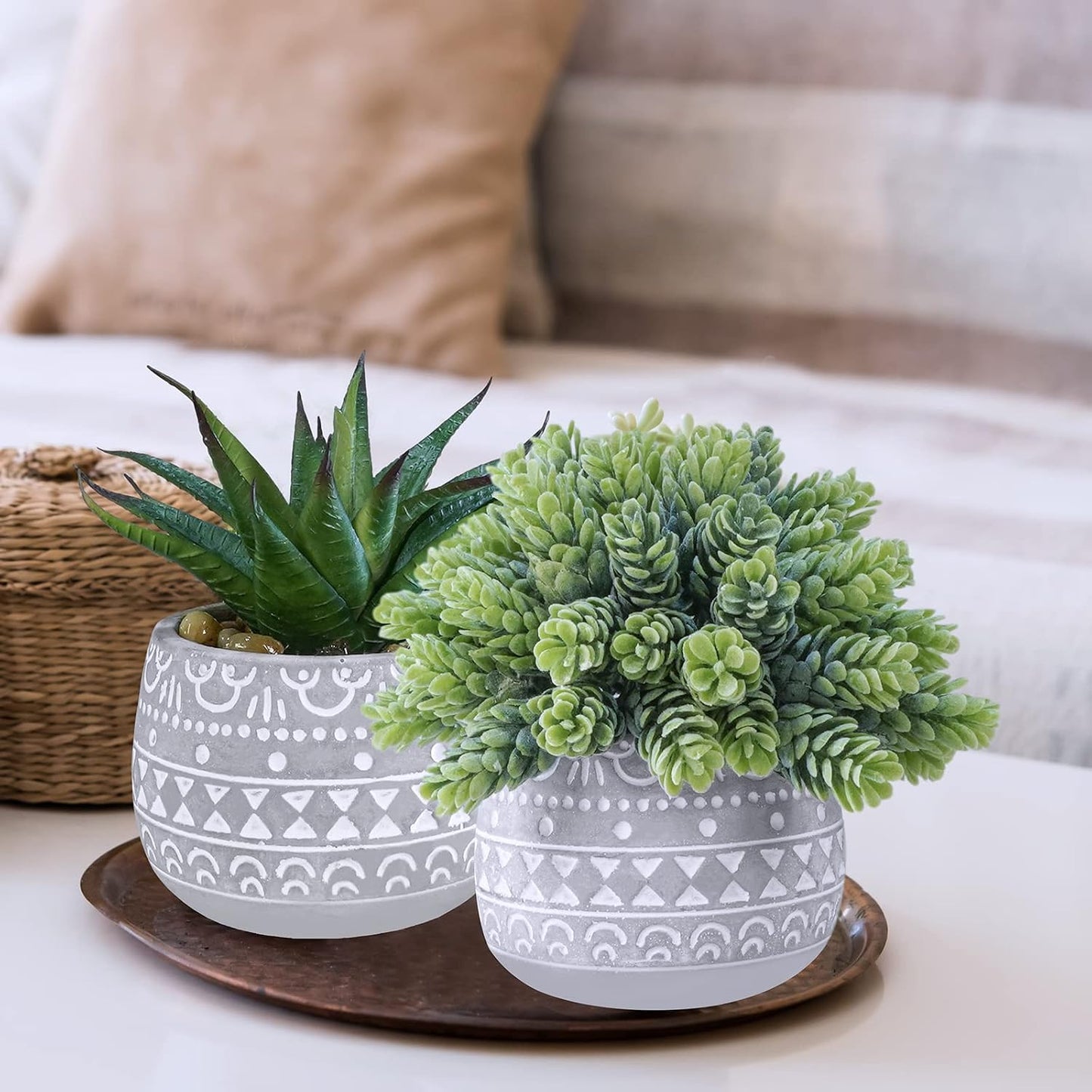 Assorted Small Potted Succulent Plants Artificial Aloe Hops String of Pearls / Gray / Set of 3