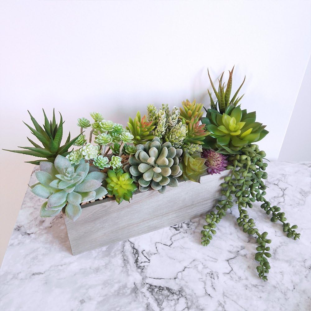 Winlyn Unpotted Fake Succulents Assorted Faux Succulent in Different Artificial / Green / Set of 6